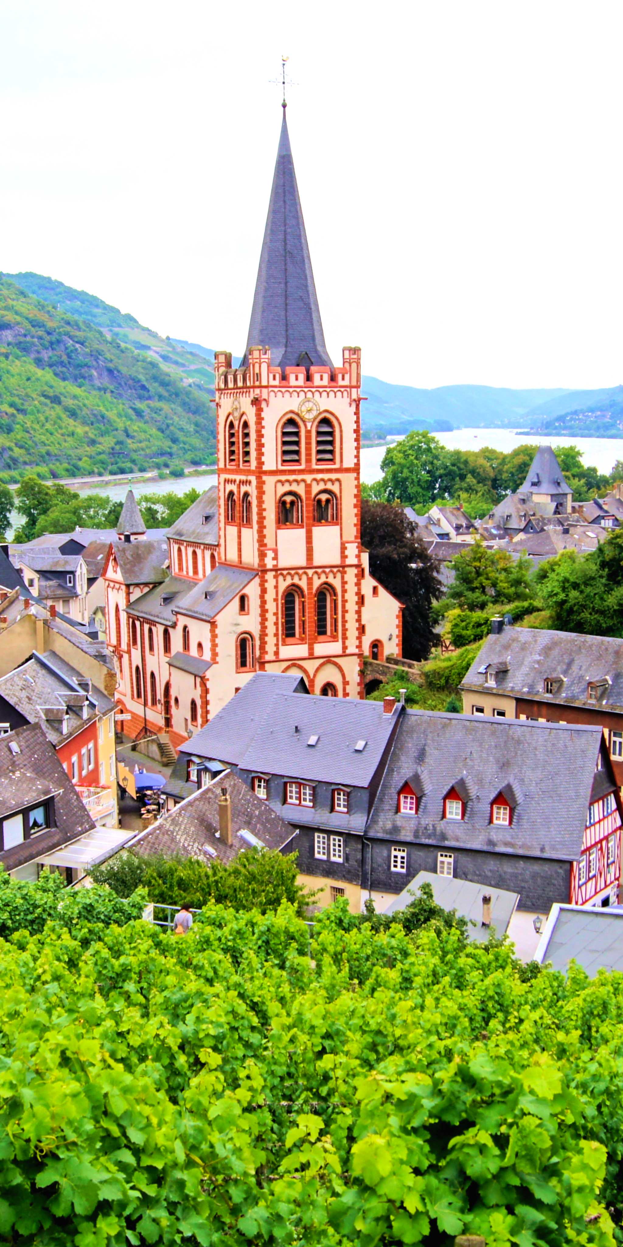 Bacharach