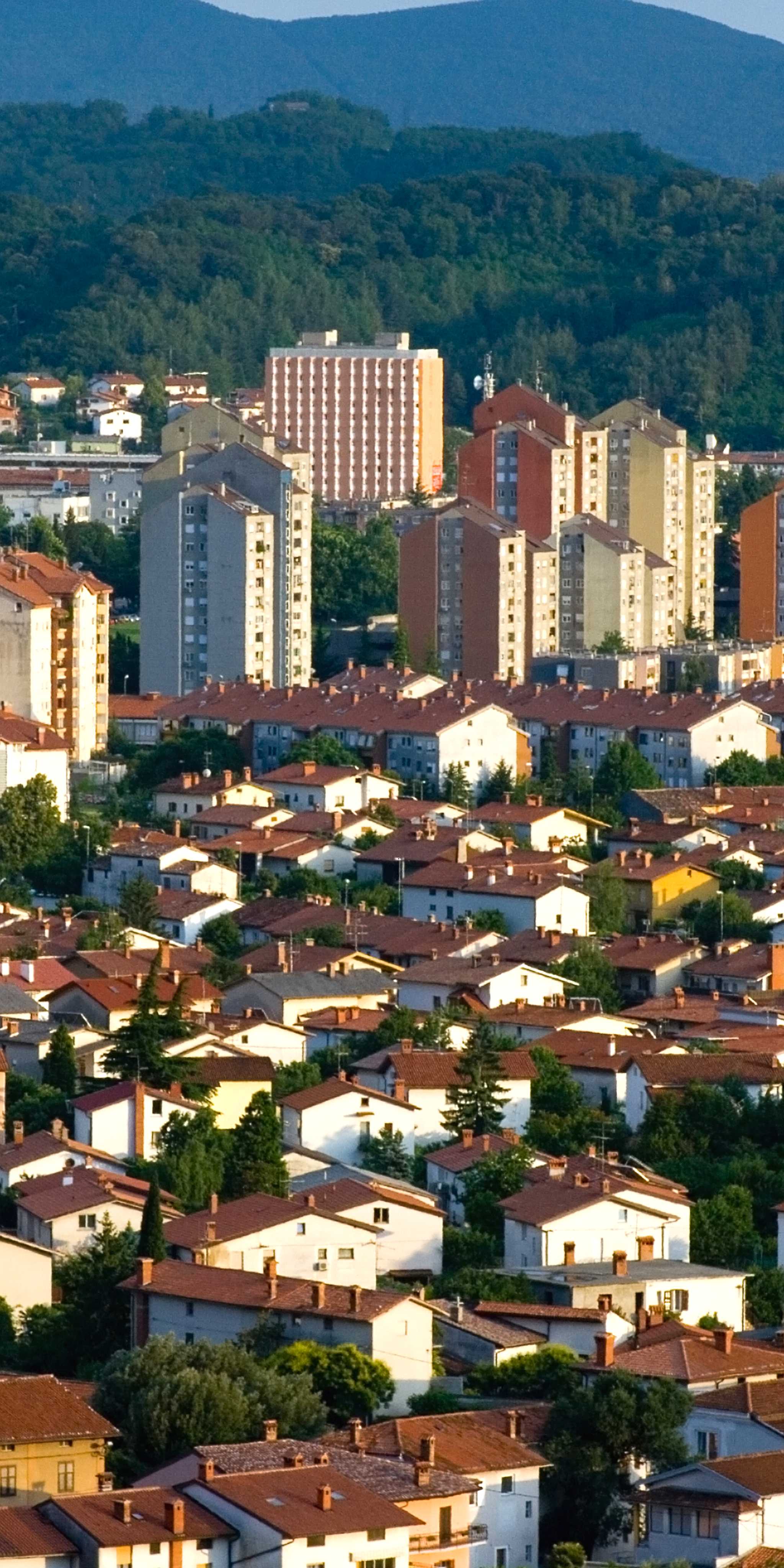 ๋
ธ๋ฐ ๊ณ ๋ฆฌ์ฐจ