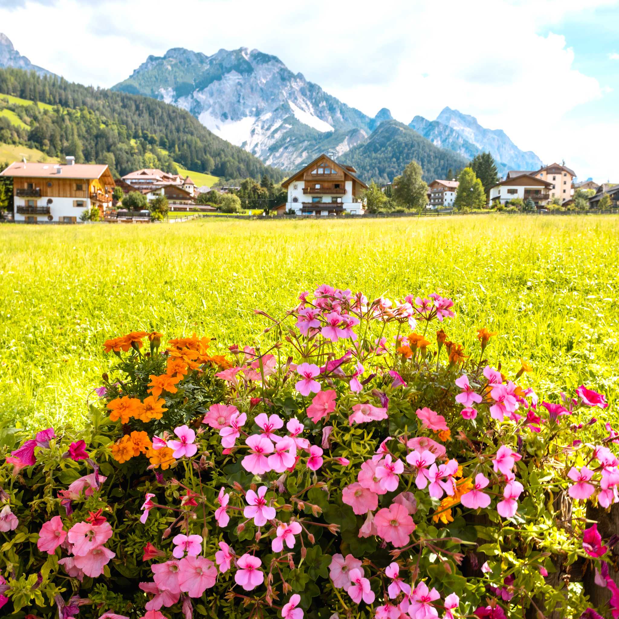 Selva di Val Gardena