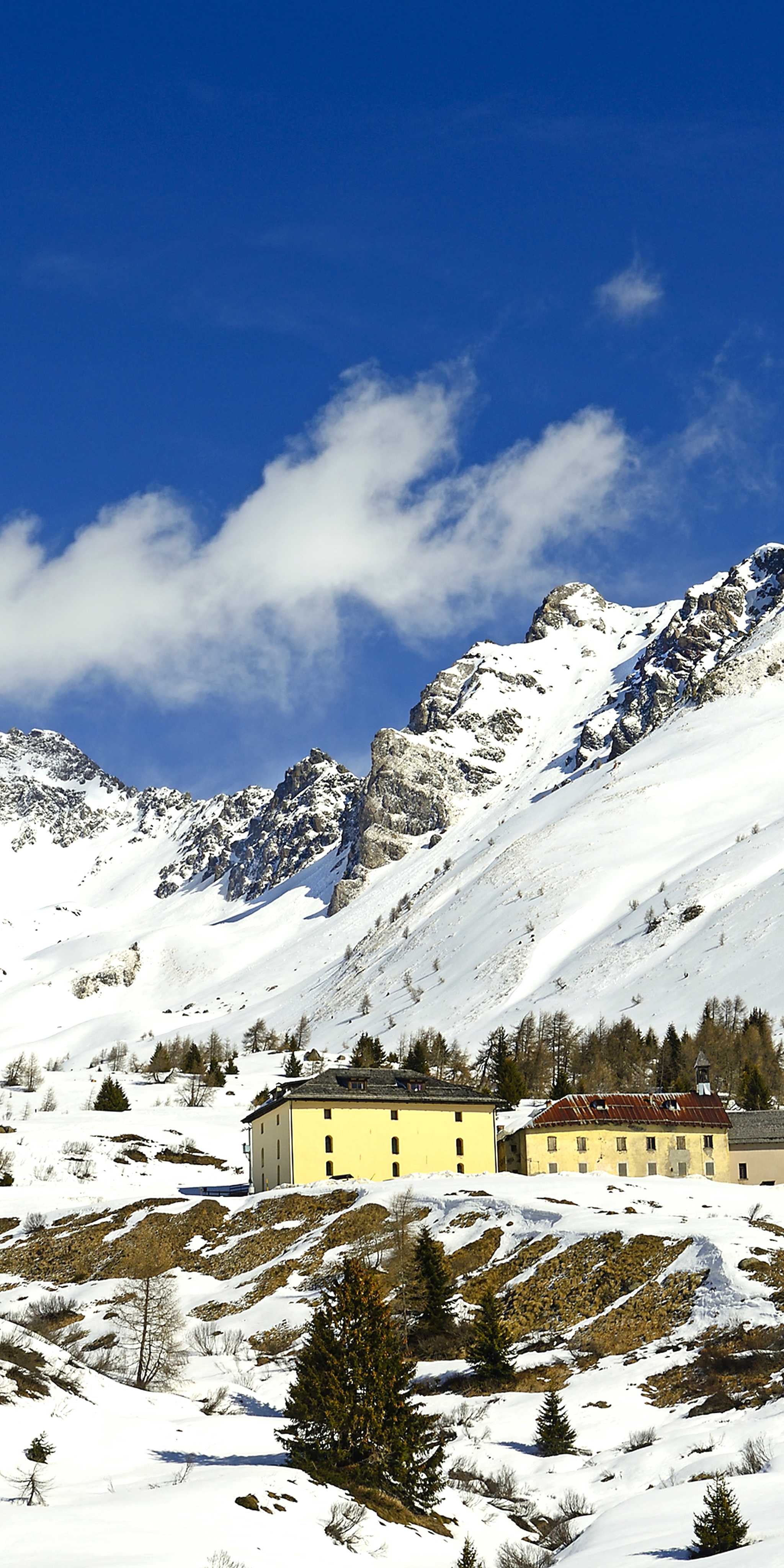 Passo Tonale - Adamello Ski