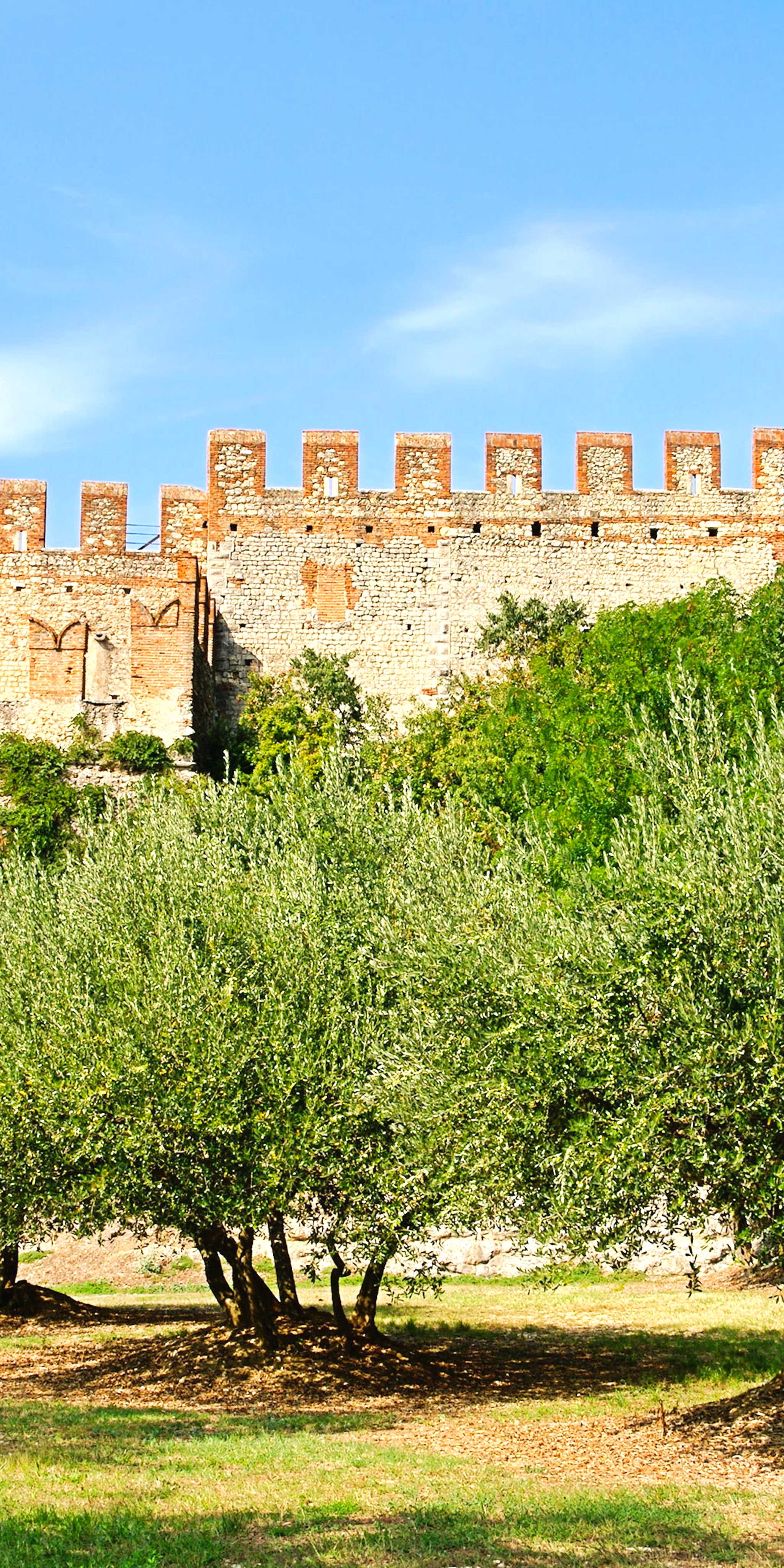 Soave Castle