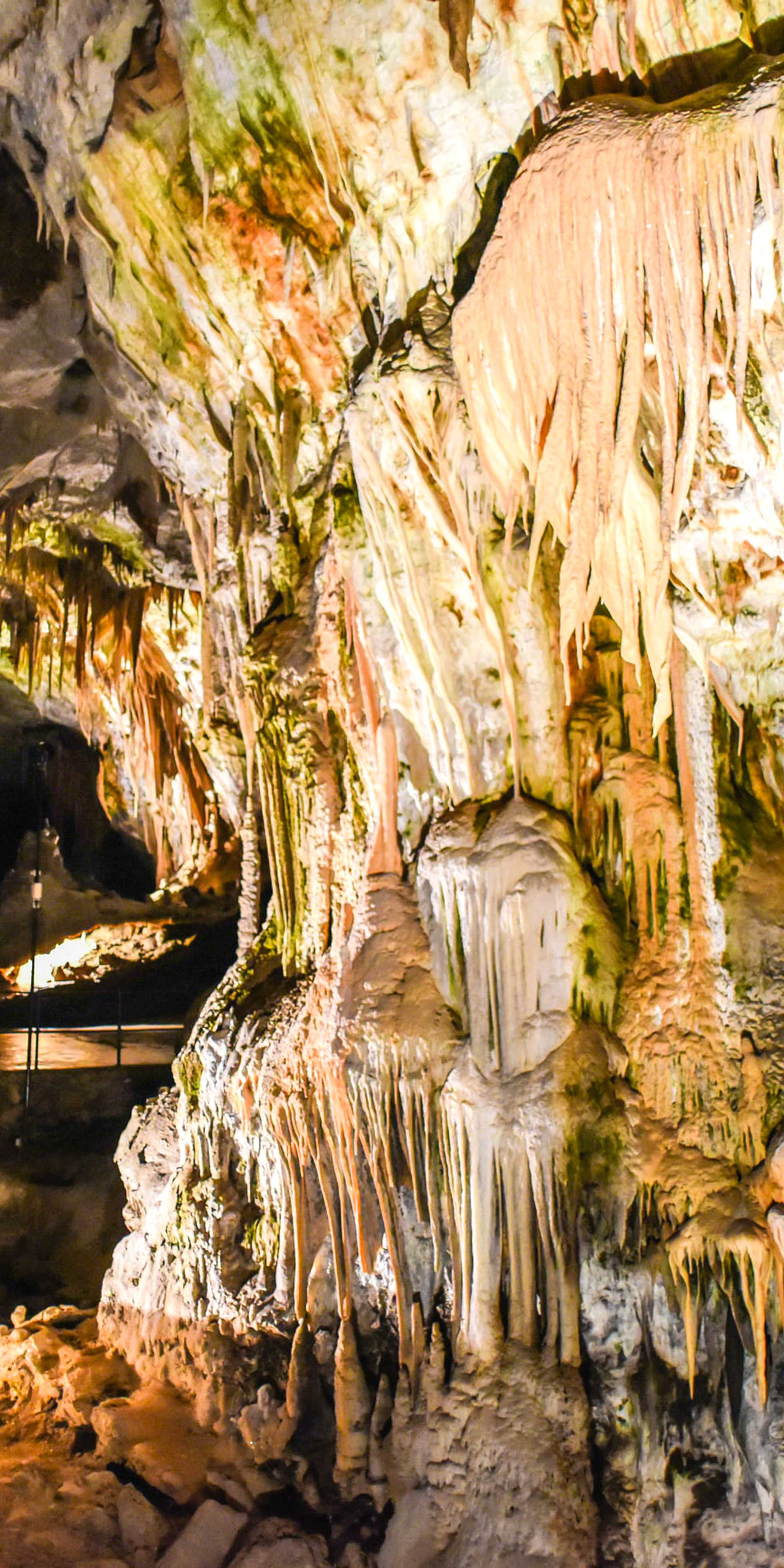 Cueva de Postojna