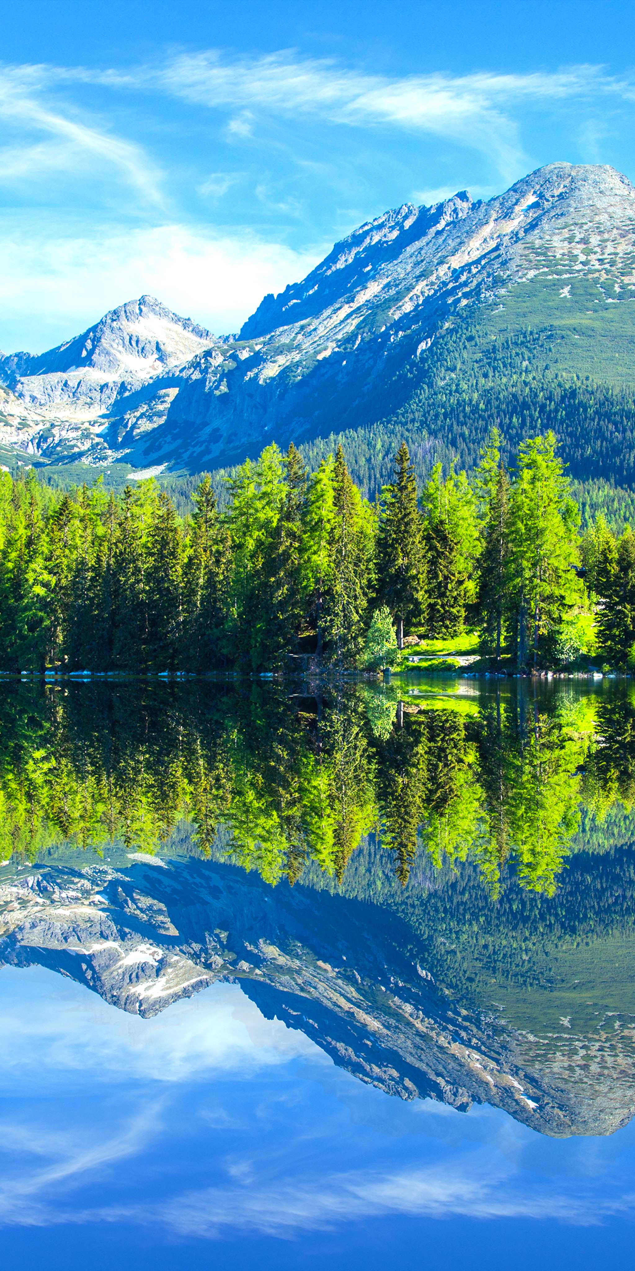 Lac de Montagne de Strbske Pleso