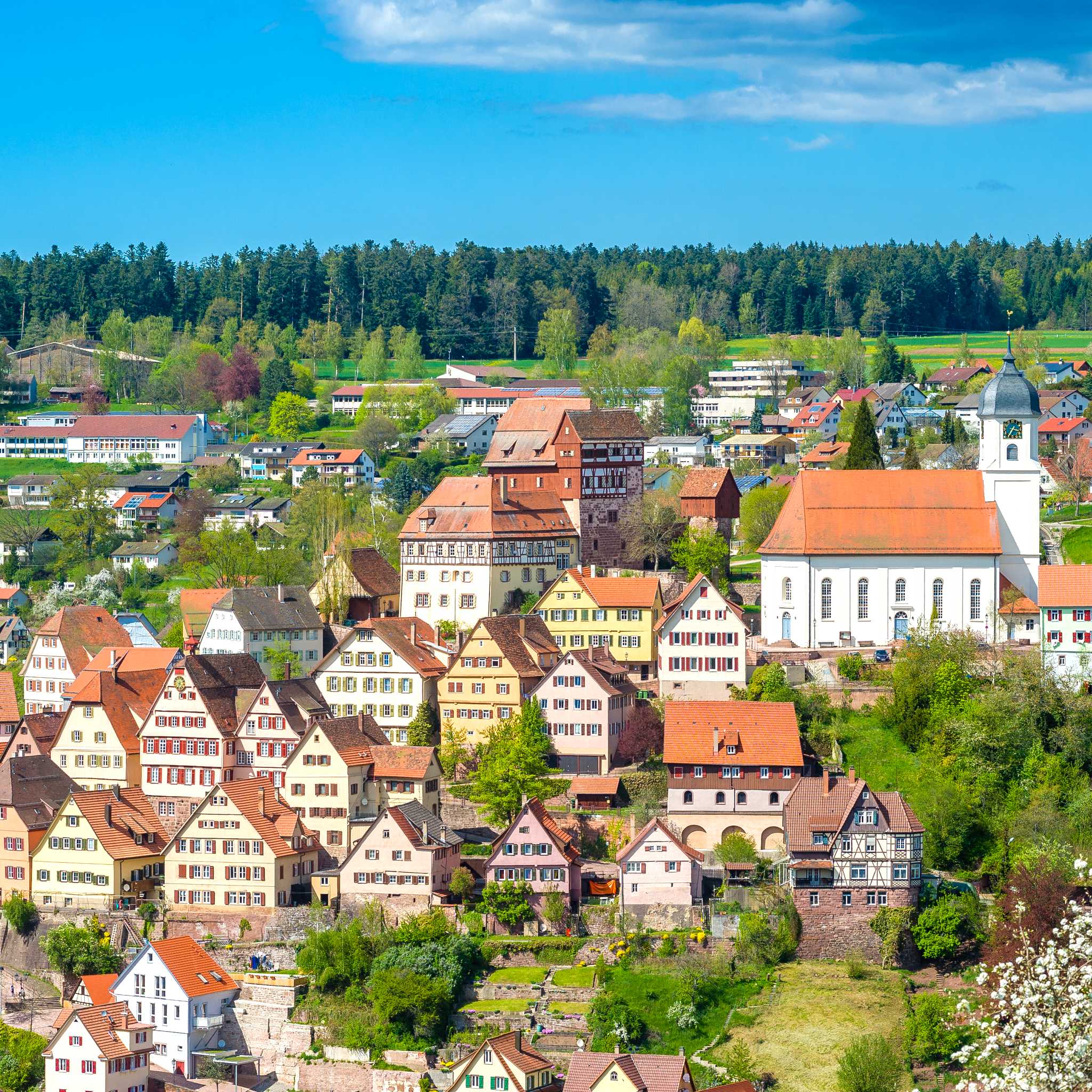 Altensteig