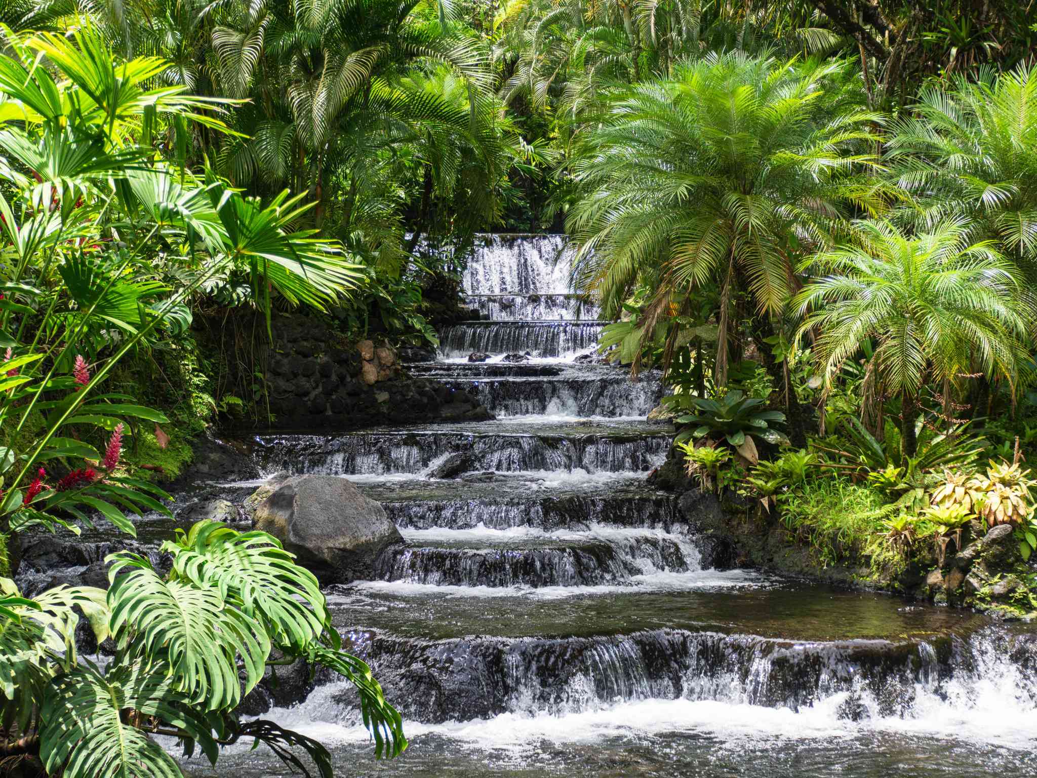 La Fortuna 的风景 - 从 La Fortuna 出发的私人 一日游 - 照片 2