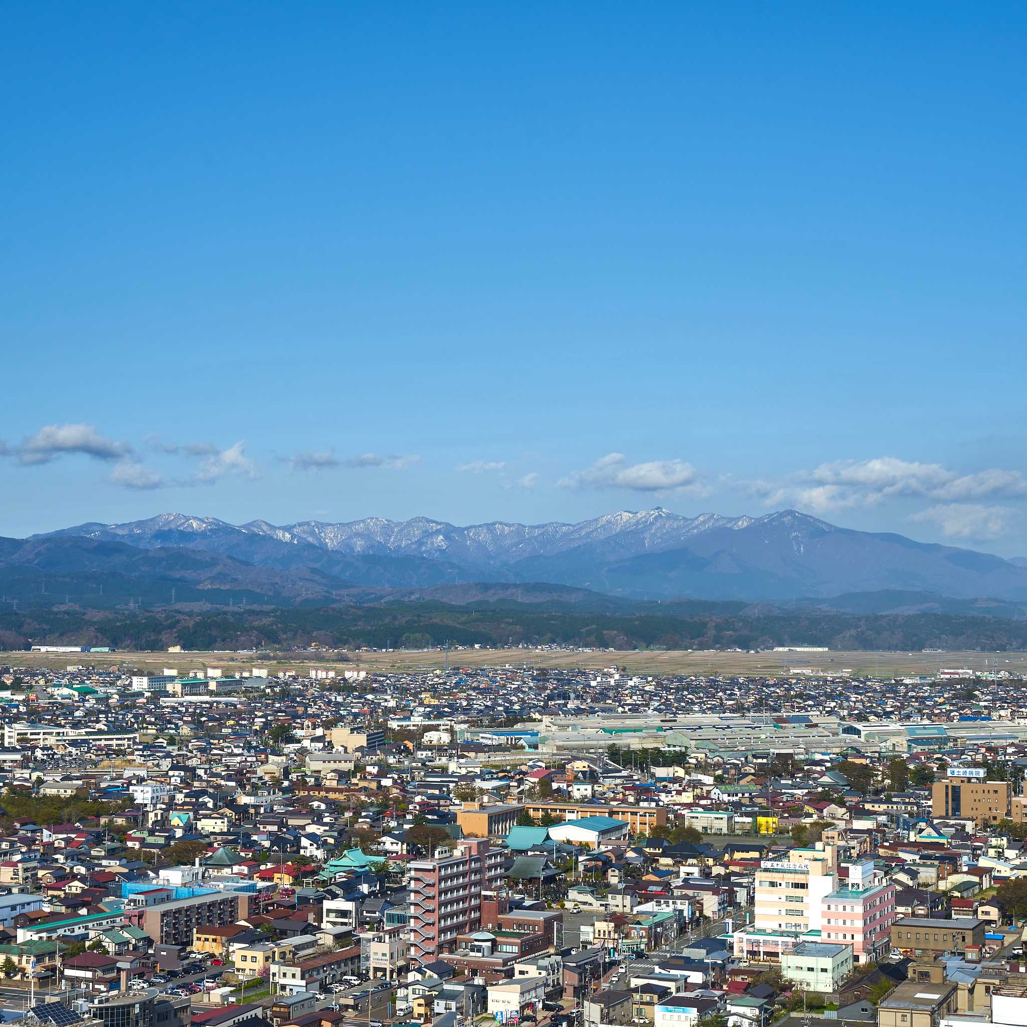 Akita
