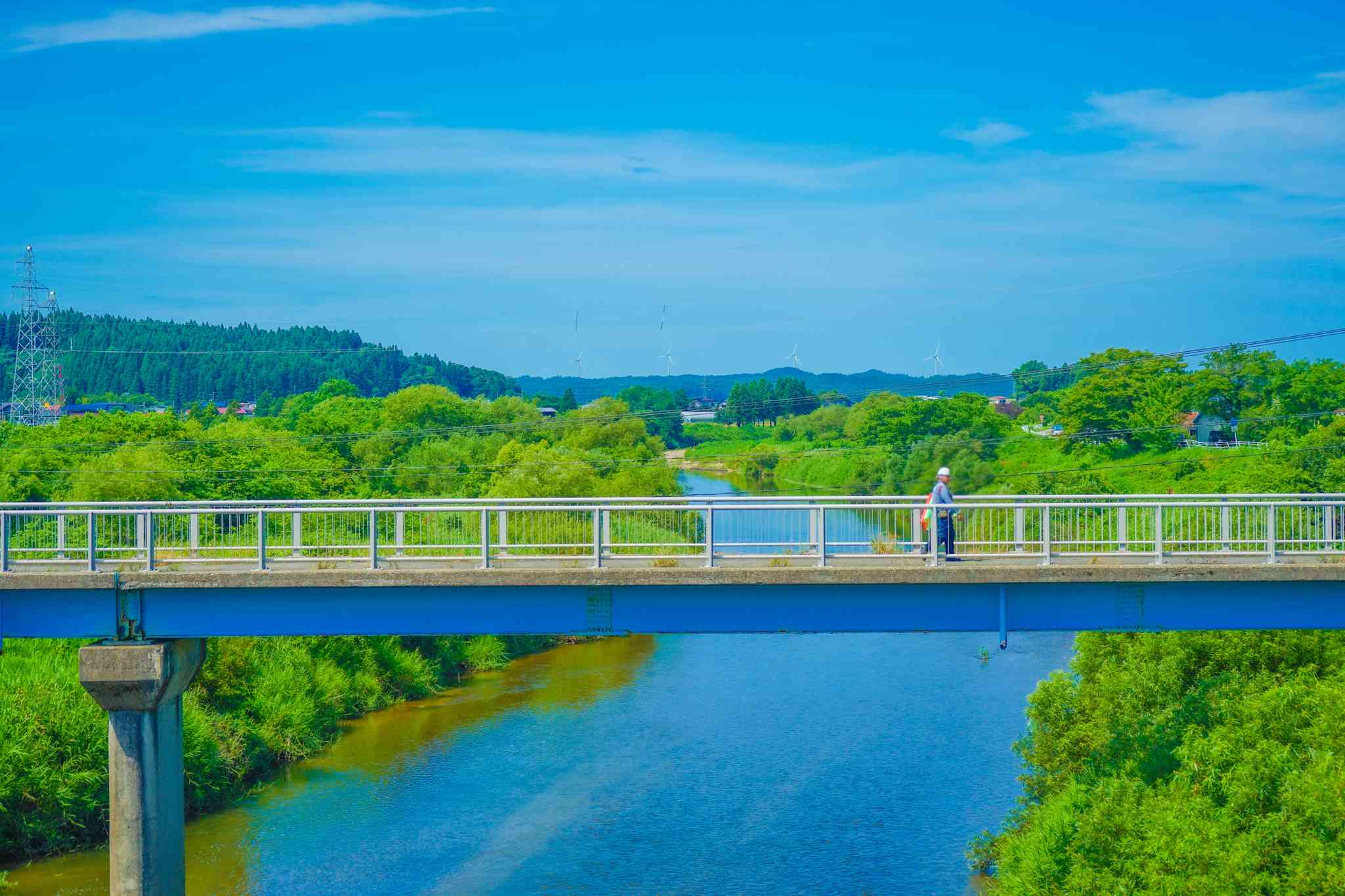 Vista cênica de Akita - excursão particular de um dia de Tokyo - foto 2