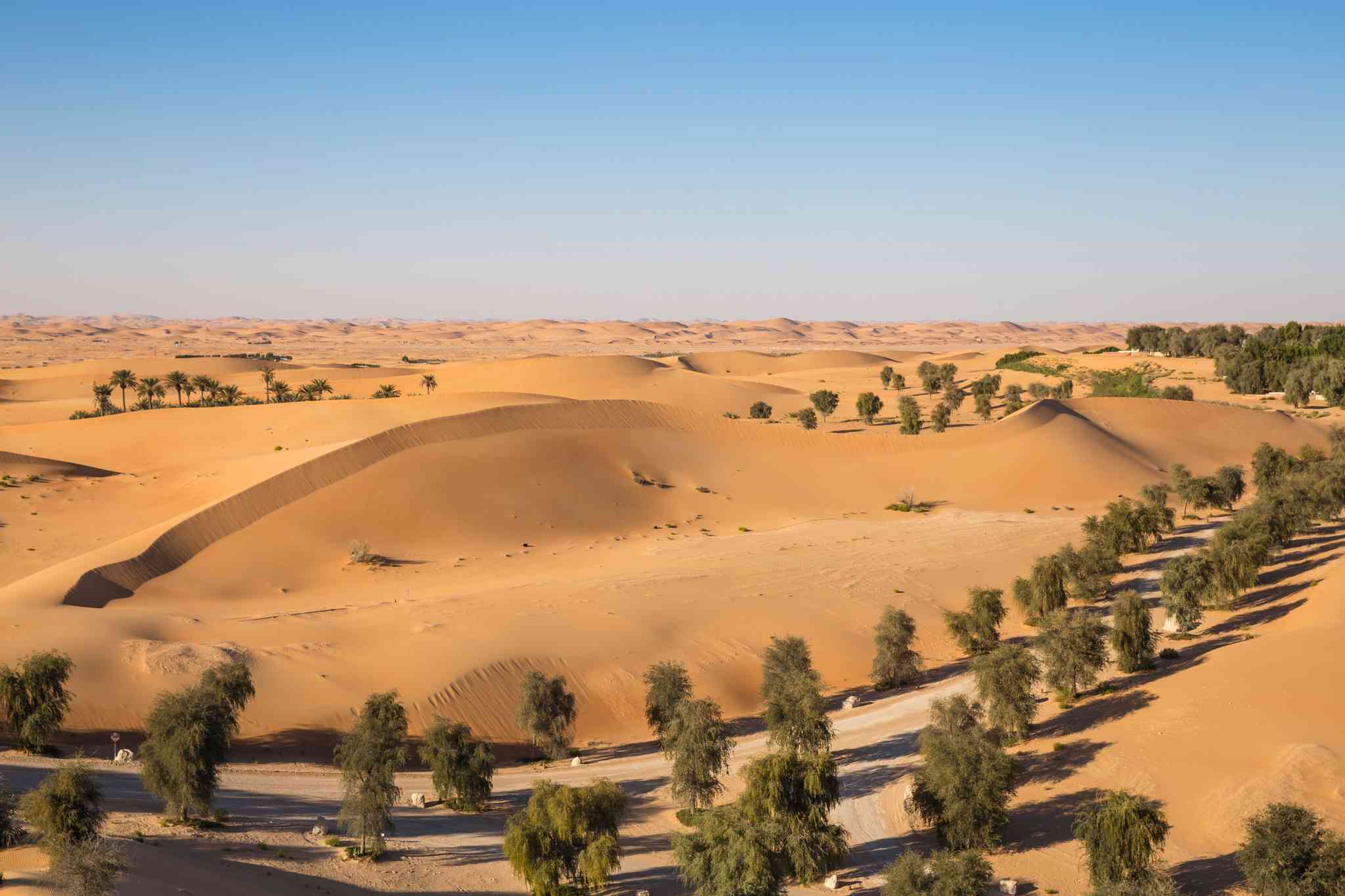 Vista cênica de Abu Dhabi - excursão particular de um dia de Al Ain - foto 11