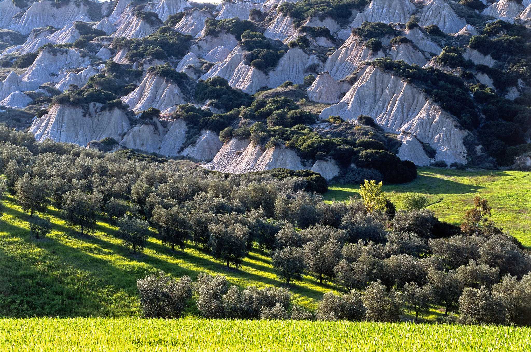 Privata biltransfertjänster i Aliano - naturskön vy över Aliano i Italien