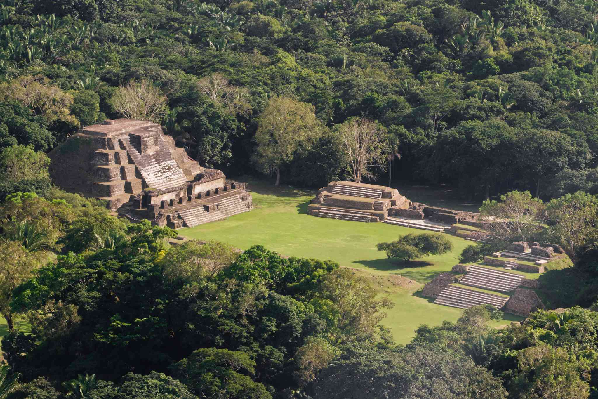 Vista panorámica de Altun Ha - excursión privada de un día desde Aeropuerto de Belice - foto 2