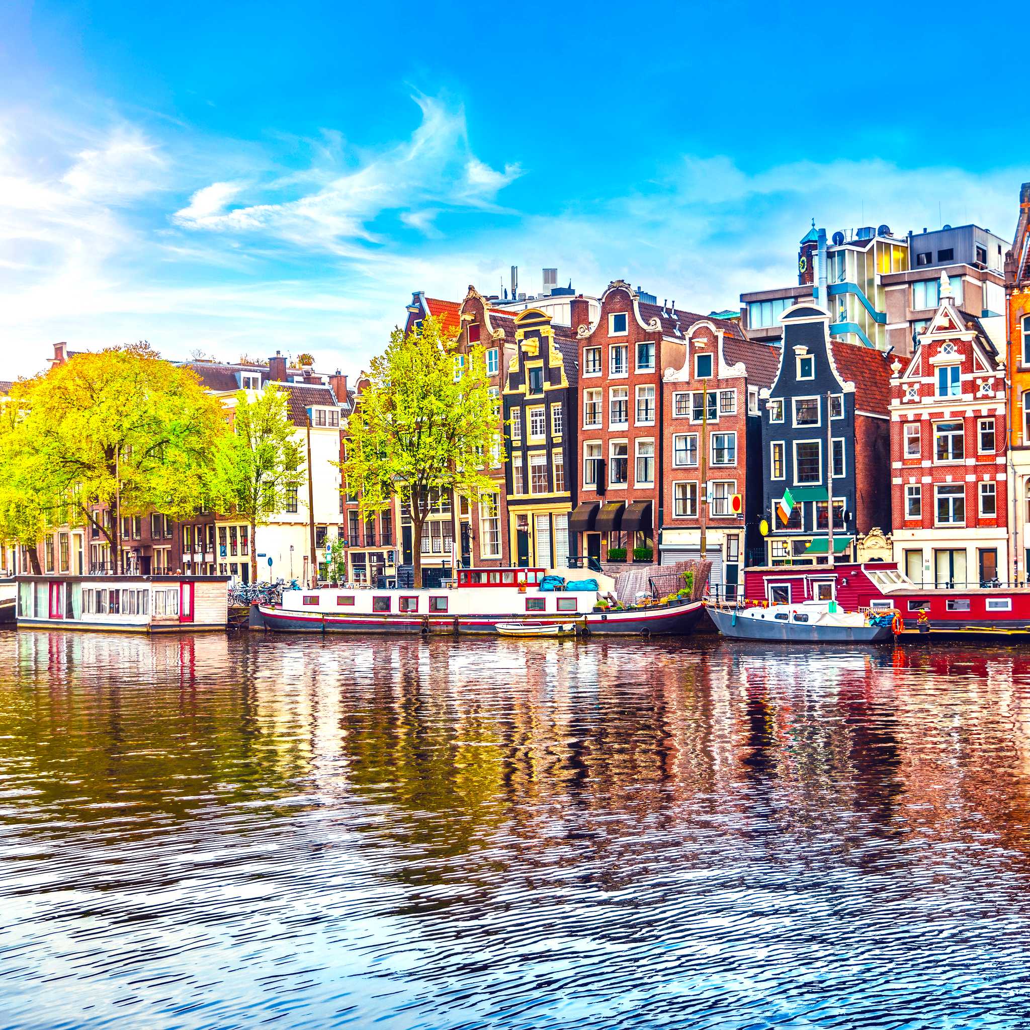 Private car transfers in Netherlands from Amsterdam