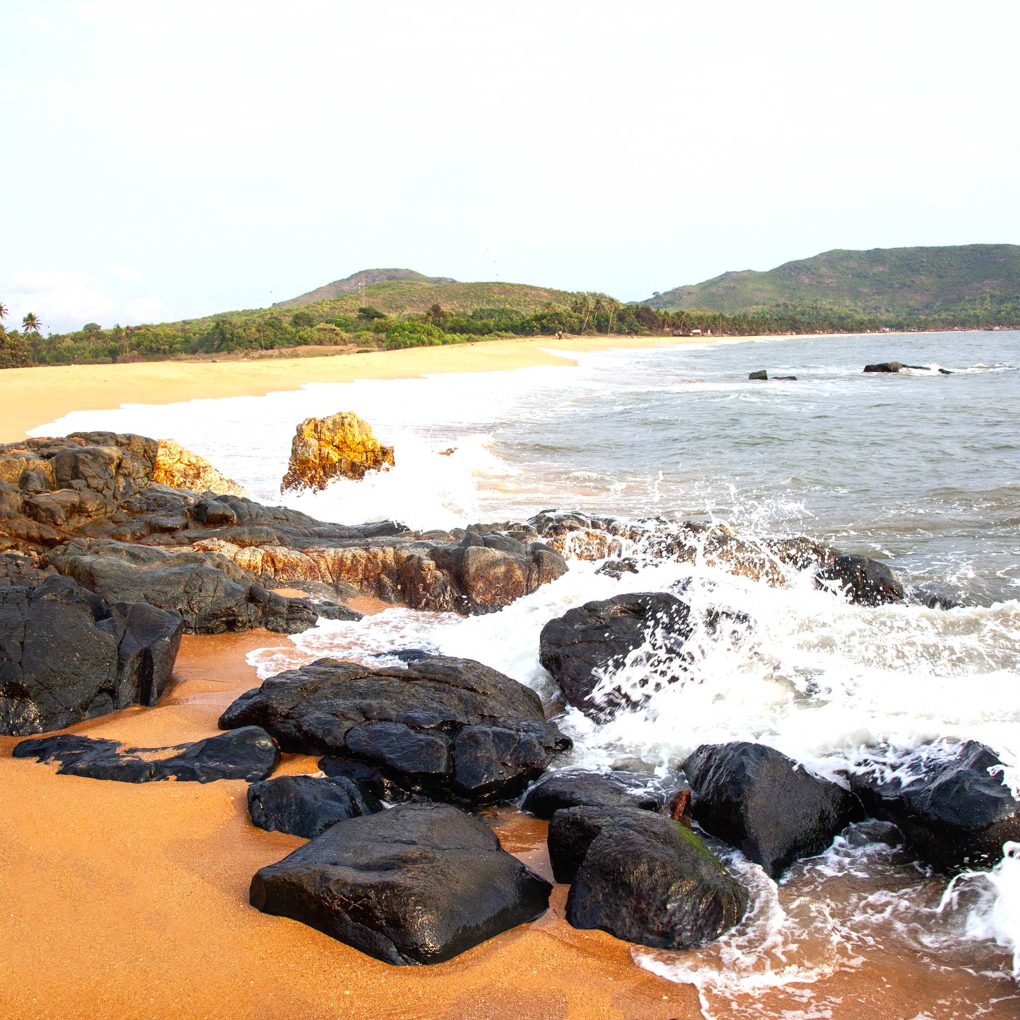 Ankola