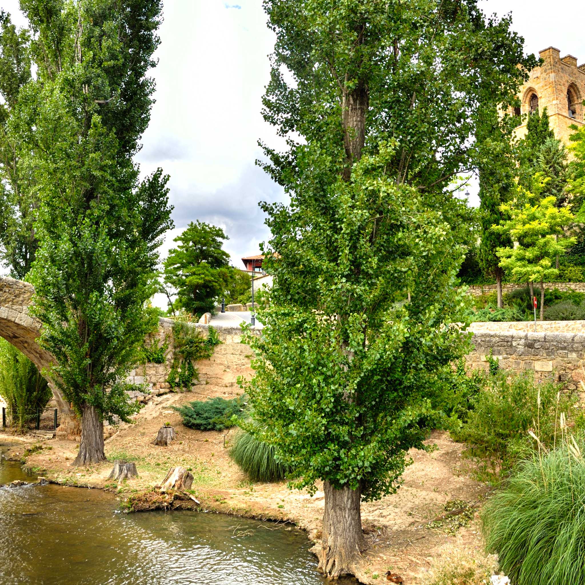 Aranda de Duero