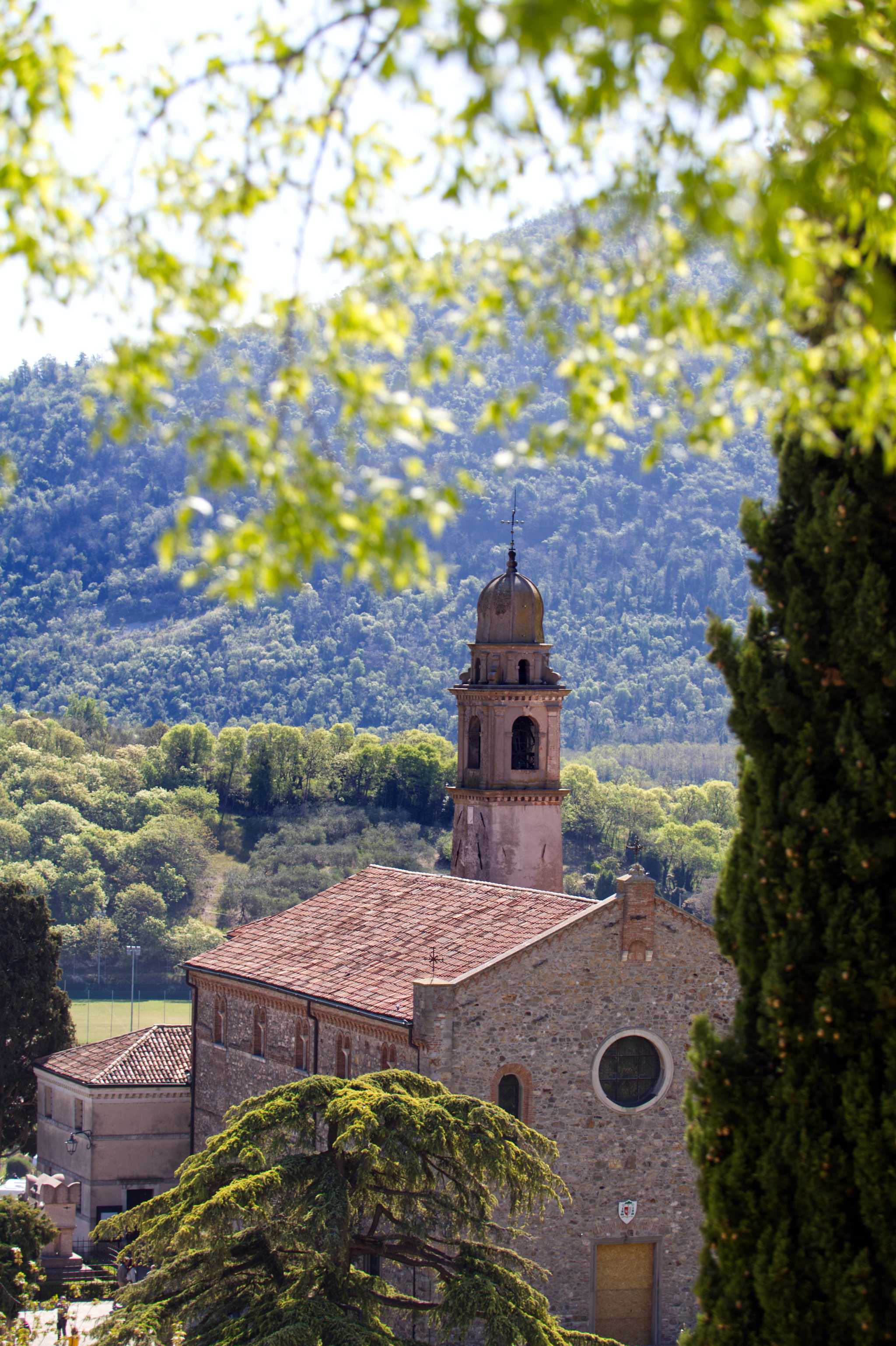 The stone church and domed bell tower of Arquà Petrarca, framed by trees below a wooded Euganean hill.