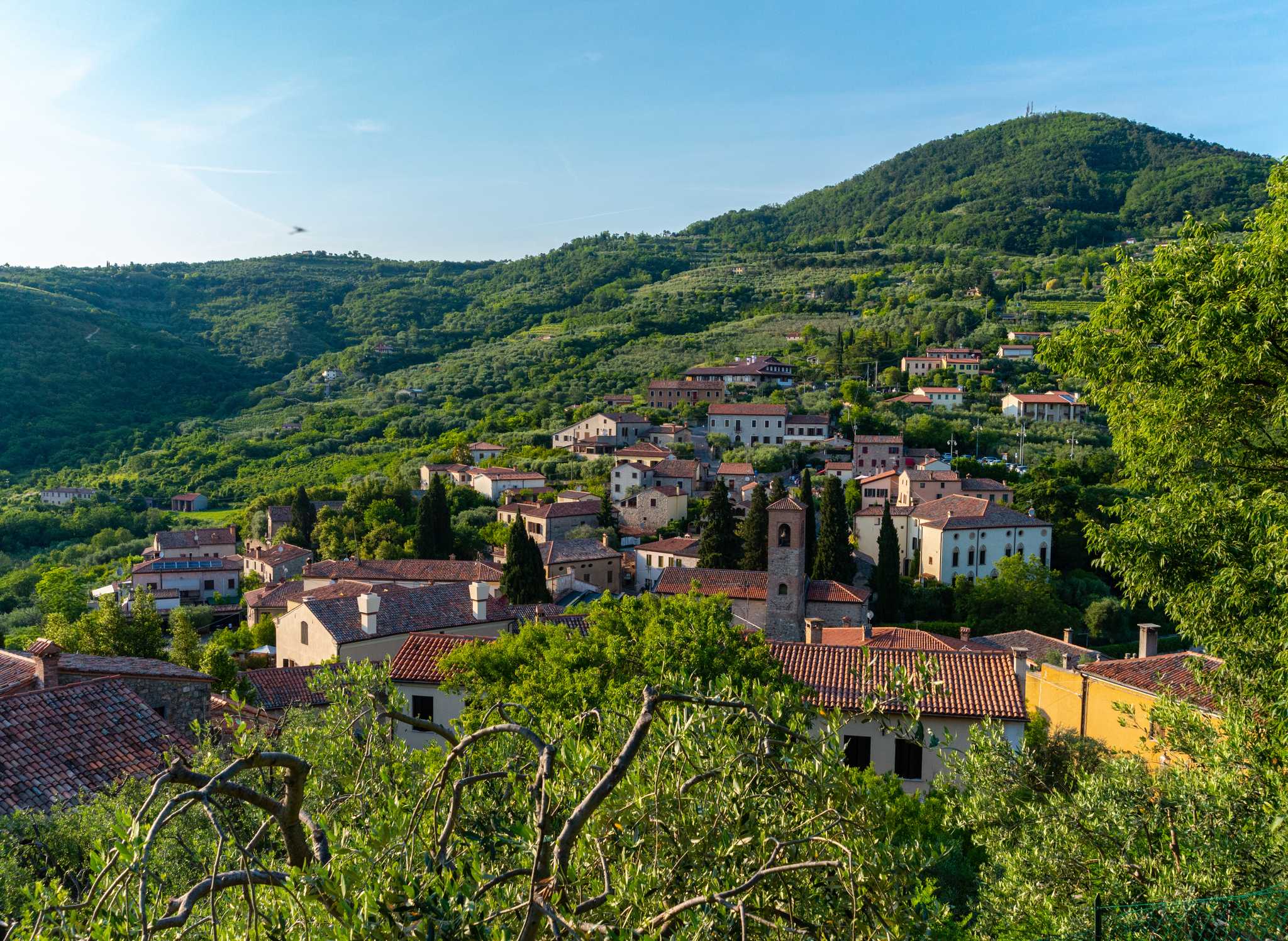 Arrêt de l'itinéraire à Arqua Petrarca lors d'une excursion privée d'une journée depuis Venice
