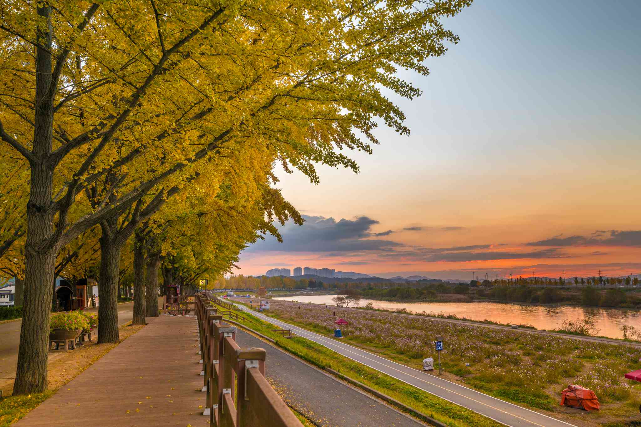 Vista cênica de Asan - excursão particular de um dia de Seoul - foto 2