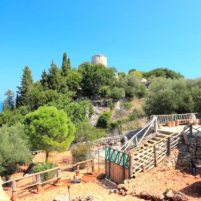 Zakinthos to Askos Stone Park and Goumas Estates: Day trip