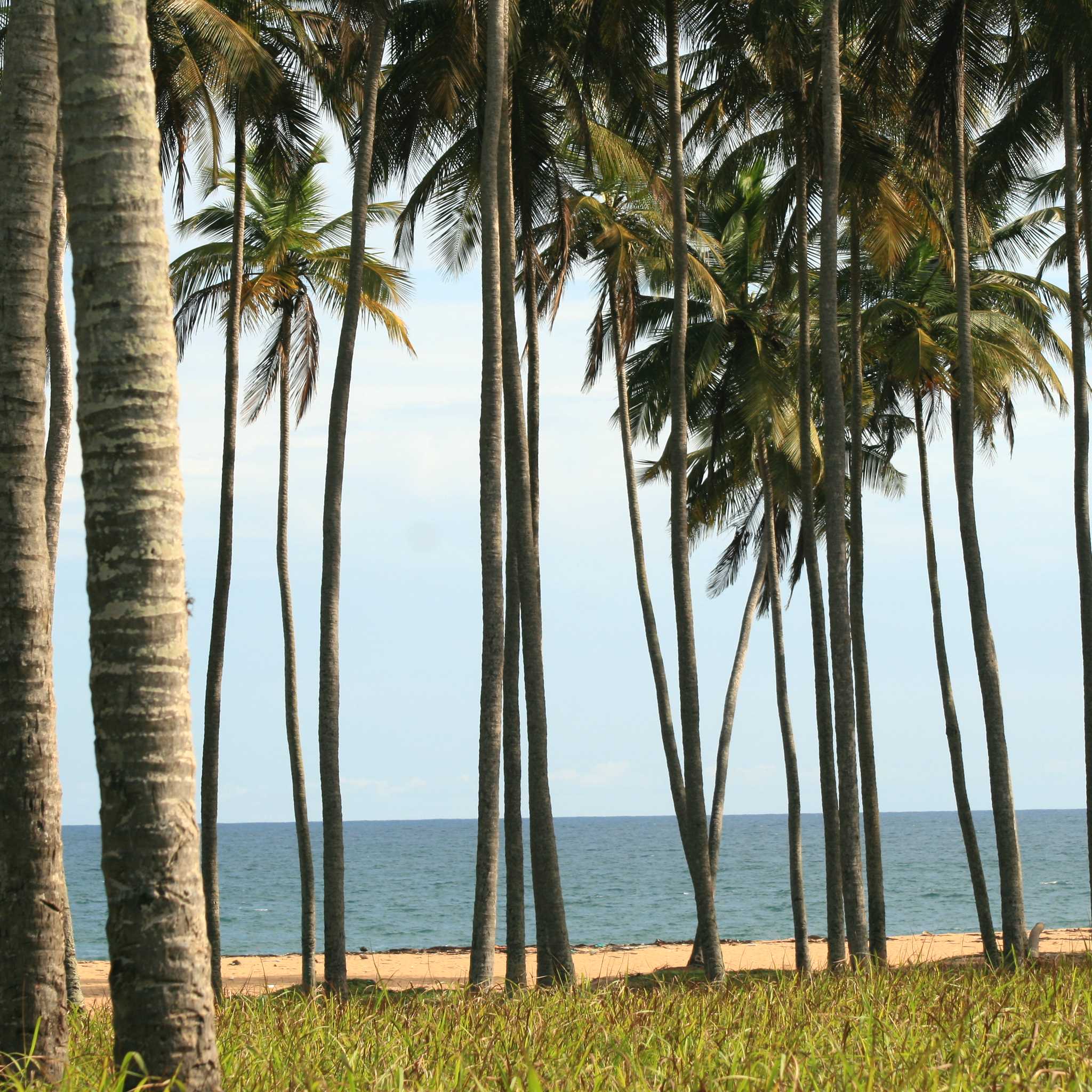 Private car transfers in Cote d'Ivoire from Assinie-Mafia