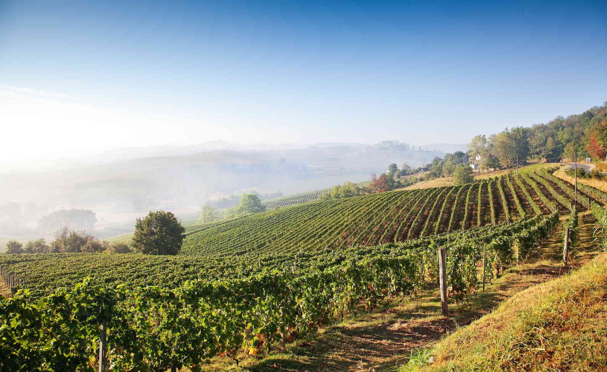Blick auf die Landschaft von Turin - private Tagesreise von Asti - Foto 6