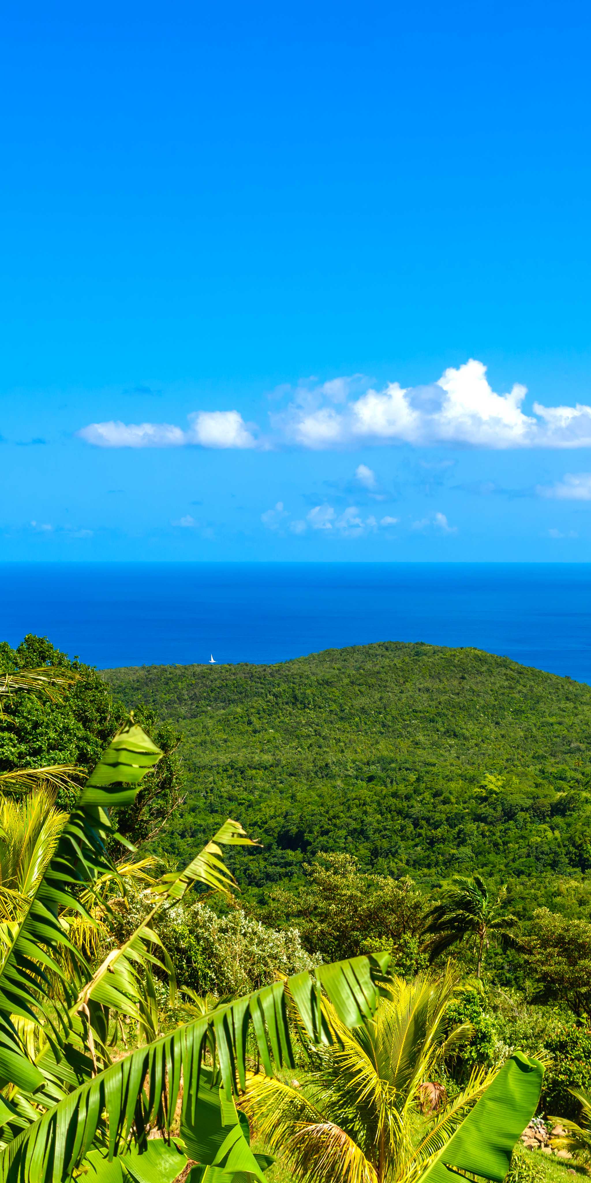 Babonneau, St. Lucia
