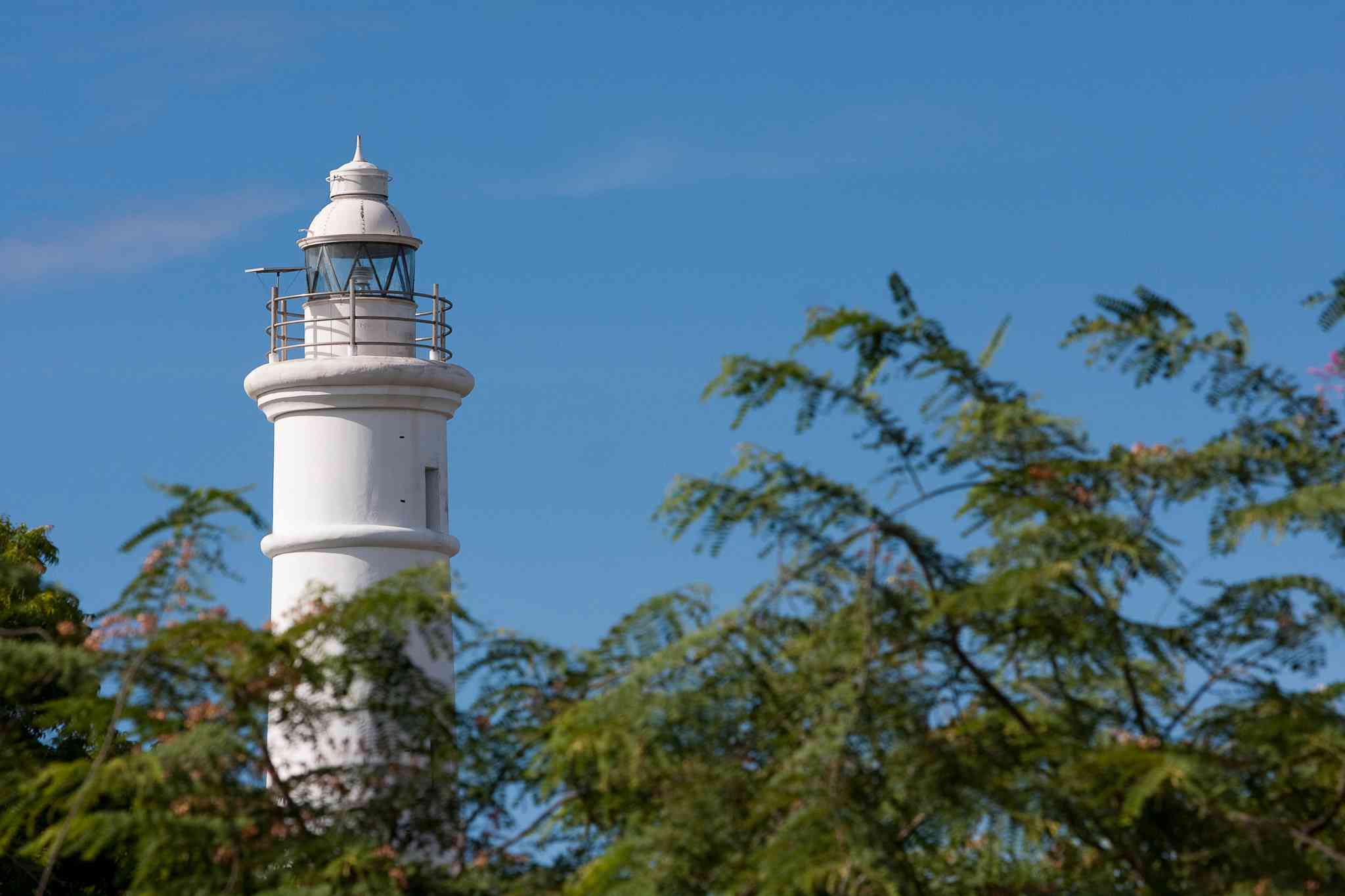 Vue pittoresque de Batticaloa - excursion privée d'une journée depuis Kandy - photo 3