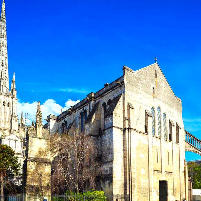 Bordeaux to Bazas: Private day trip