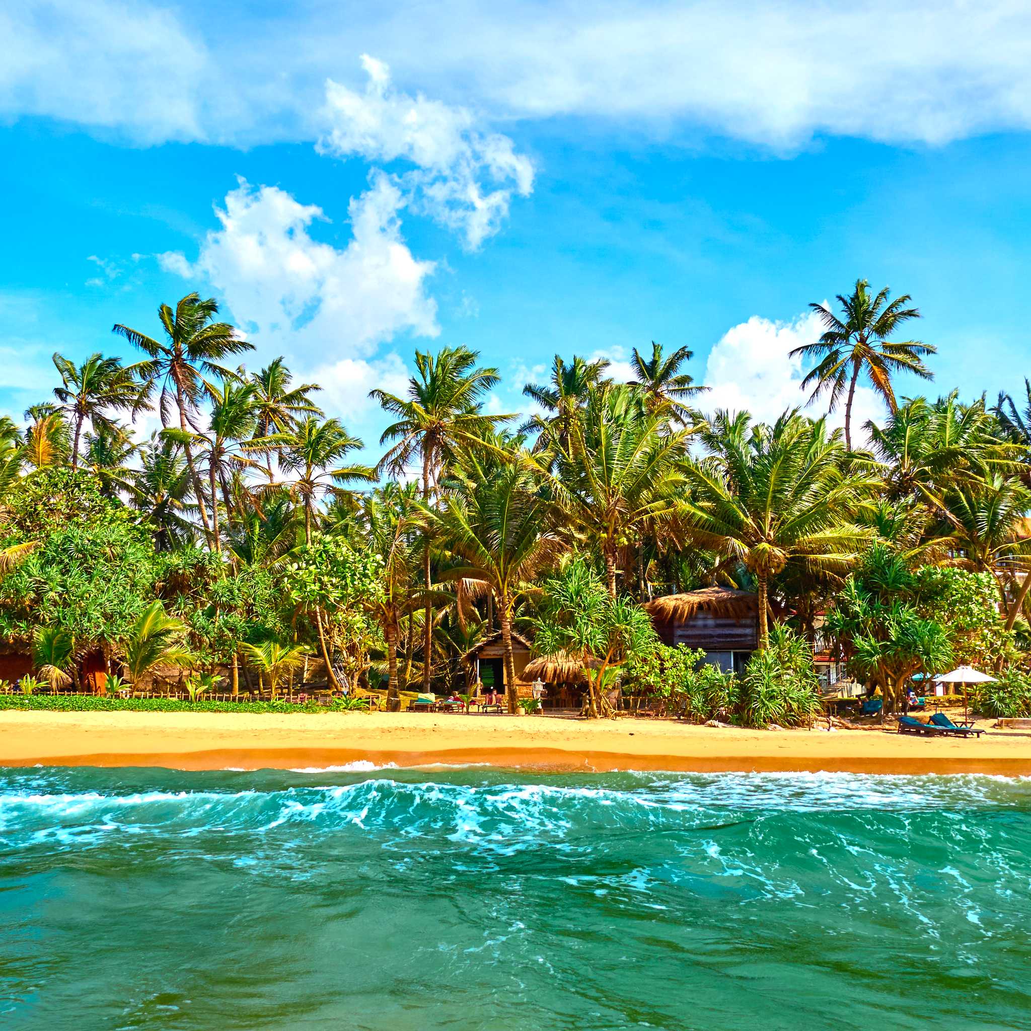 Private car transfers in Sri Lanka from Bentota