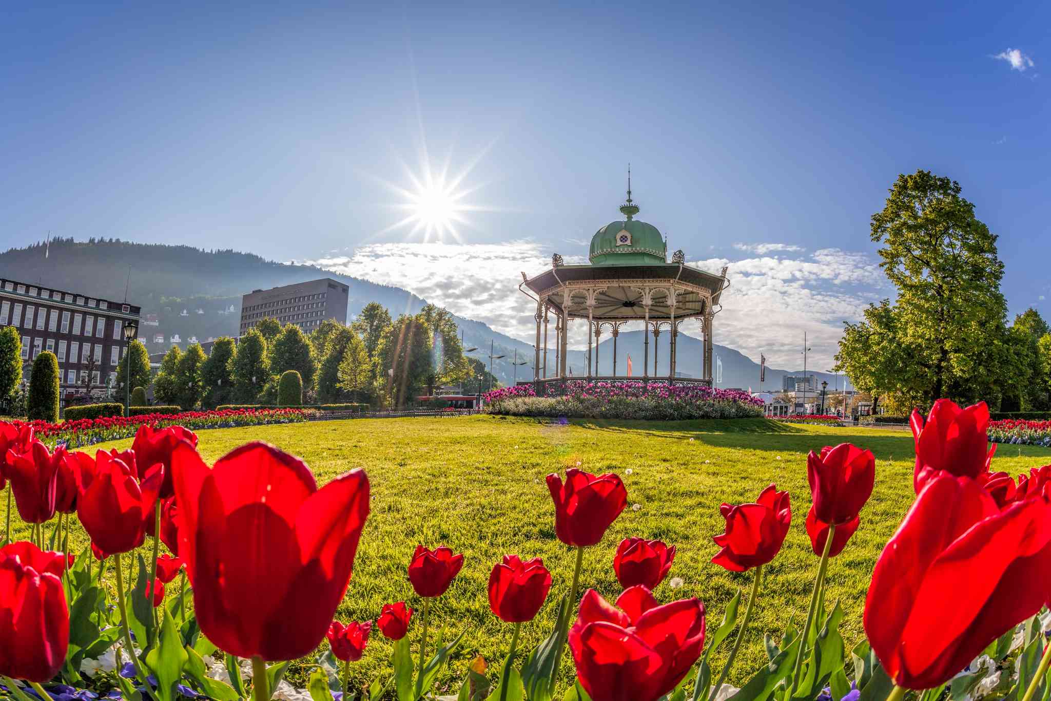 Bergen 의 경치 - 외비크 에서 출발하는 개인 day trip - 사진 3