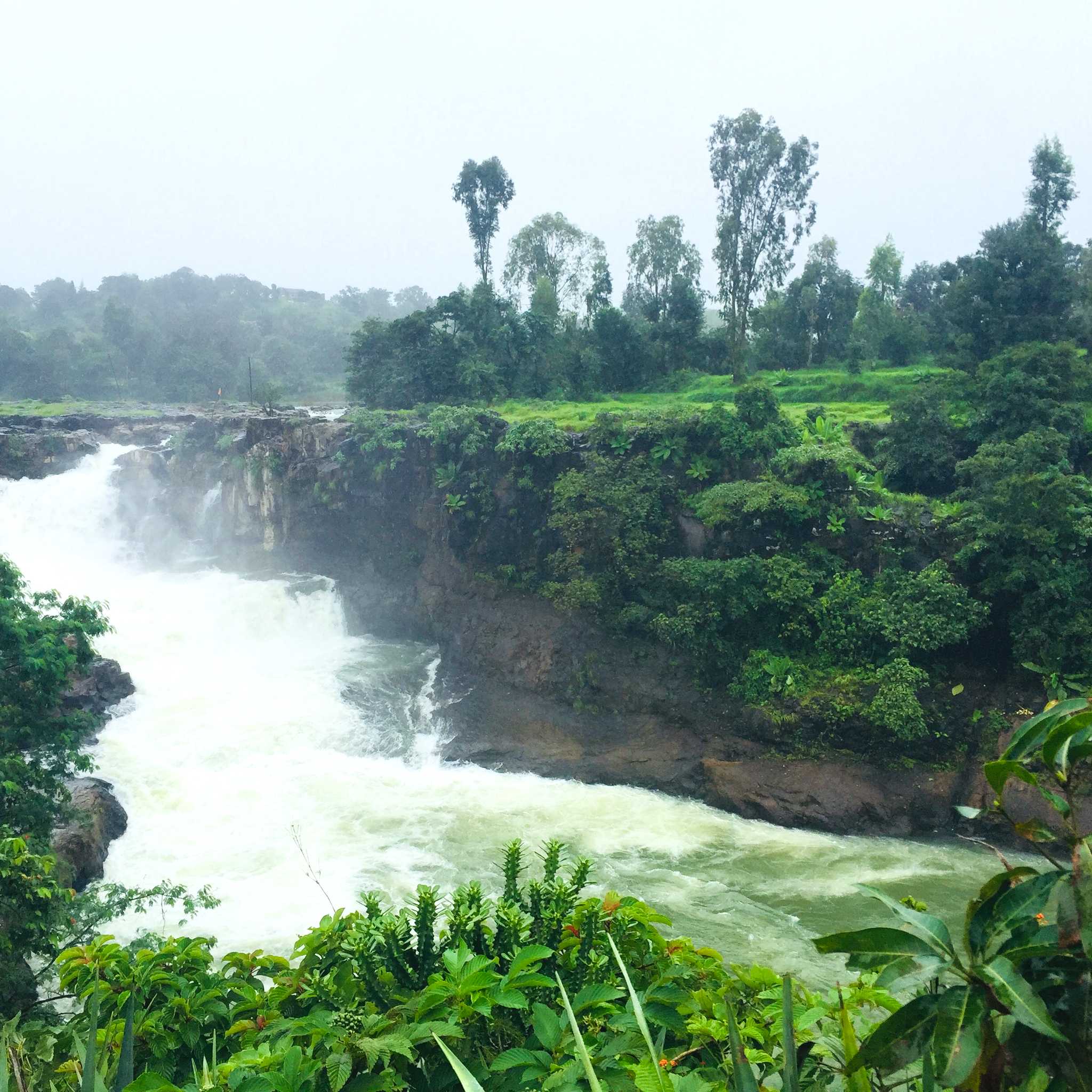 Bhandardara