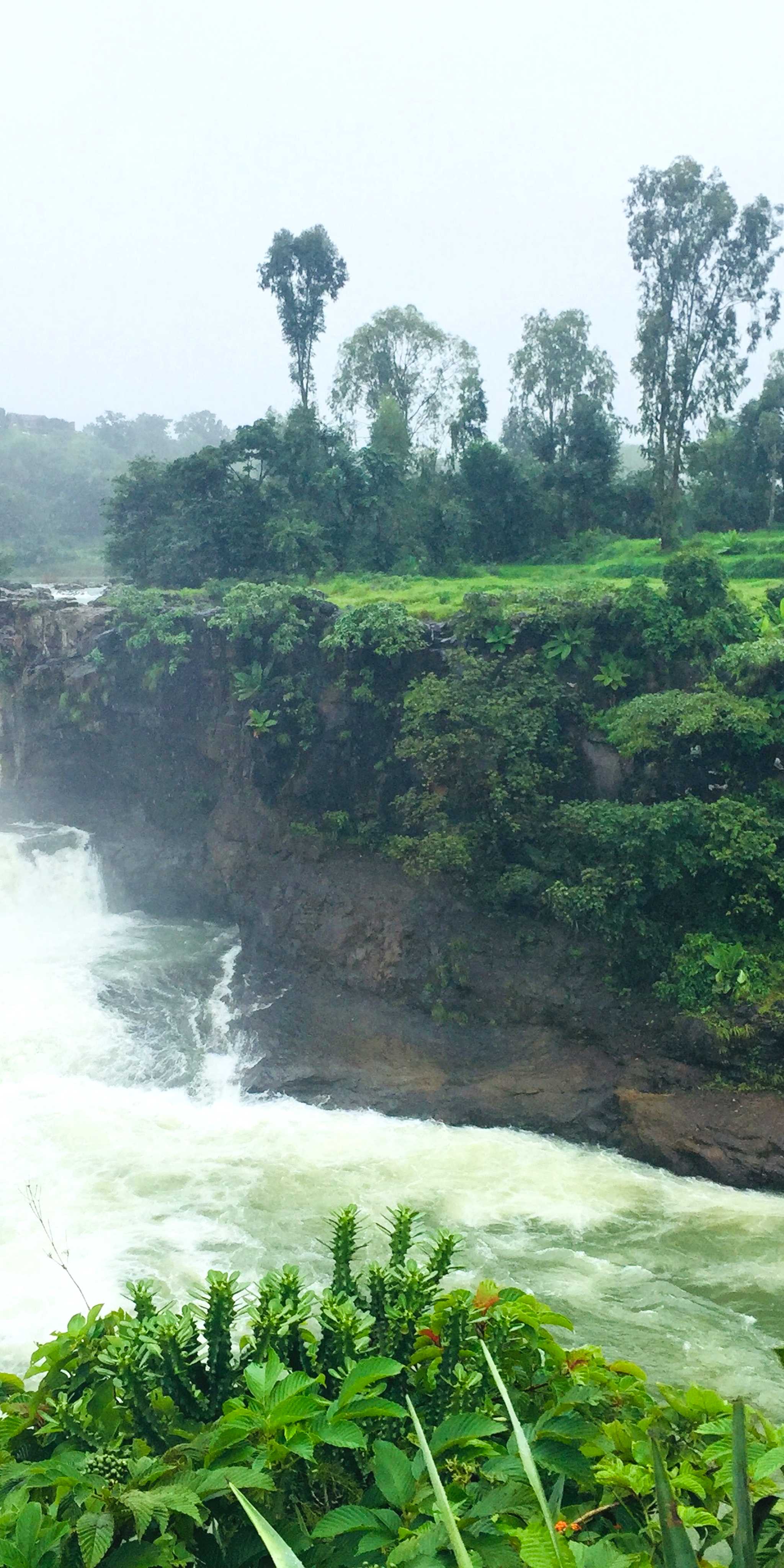 Bhandardara