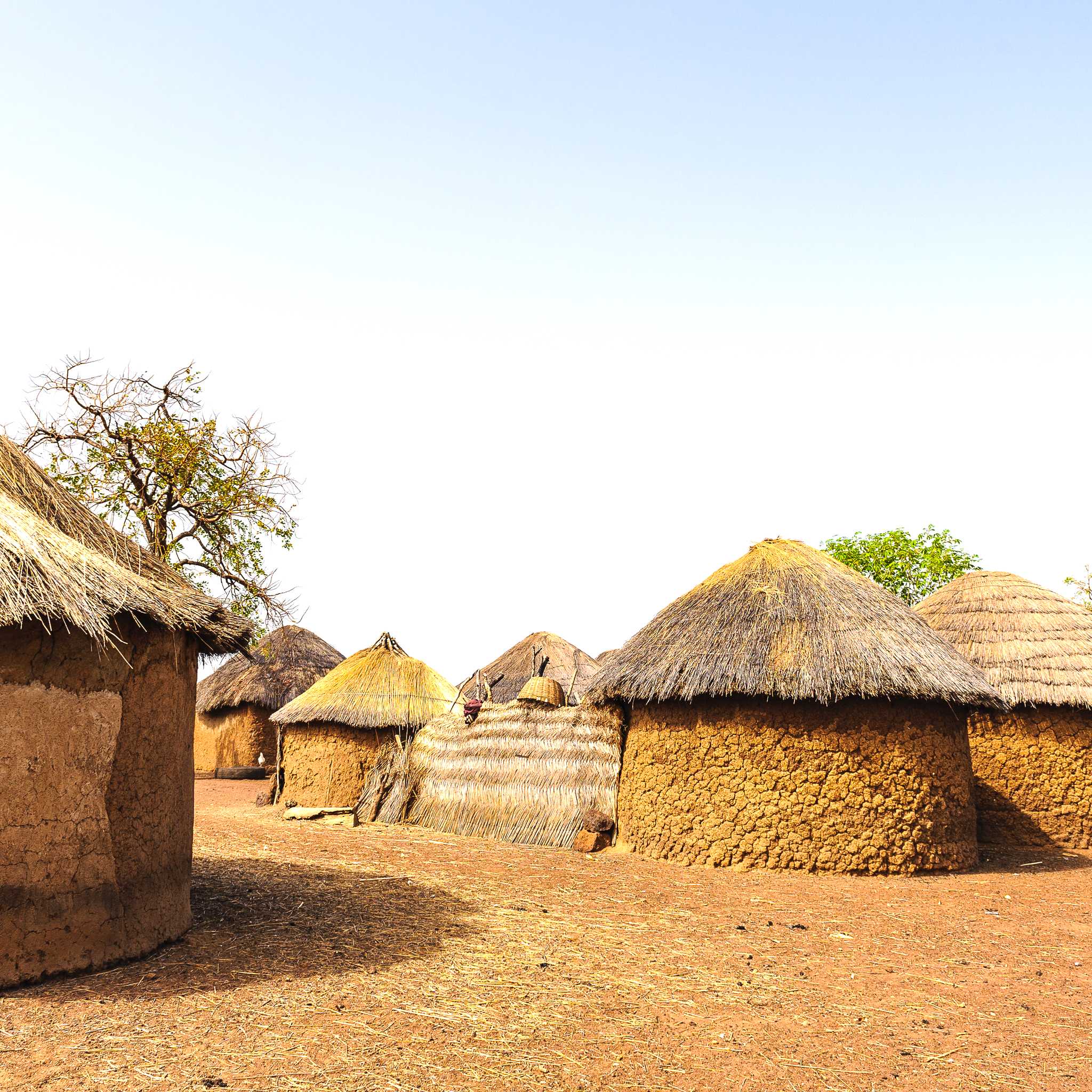 Bimbila