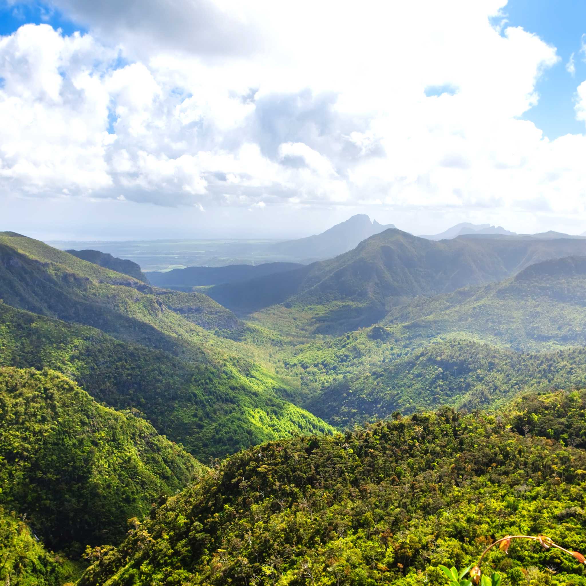 Black River Gorges Viewpoint