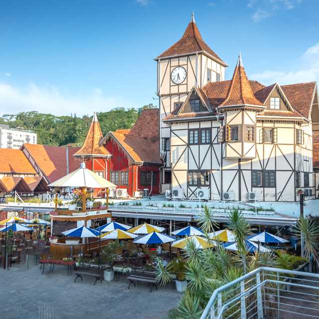 Curitiba to Blumenau and Pomerode: Private day trip