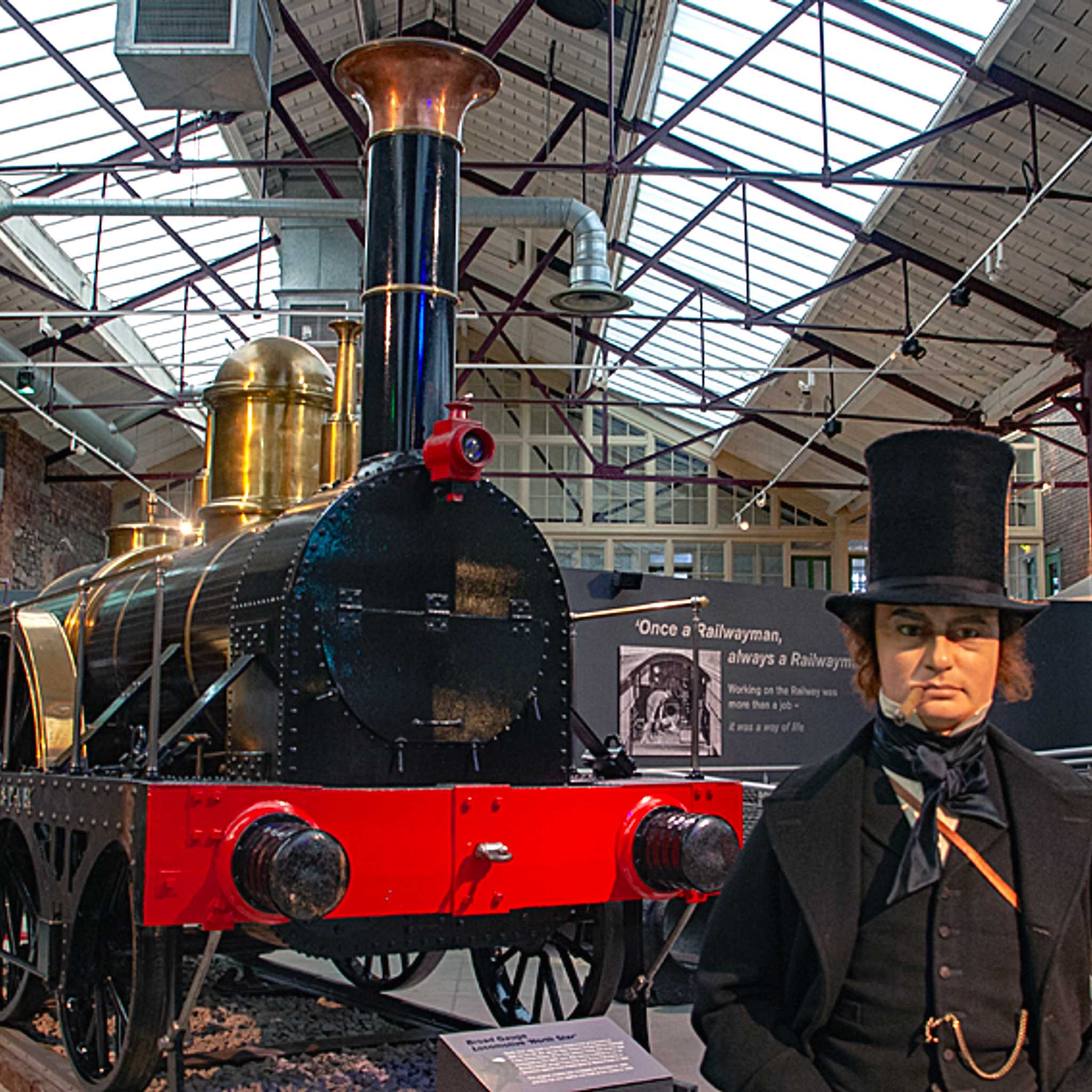 ๋์์ ์ฒ ๋ STEAM ๋ฐ๋ฌผ๊ด