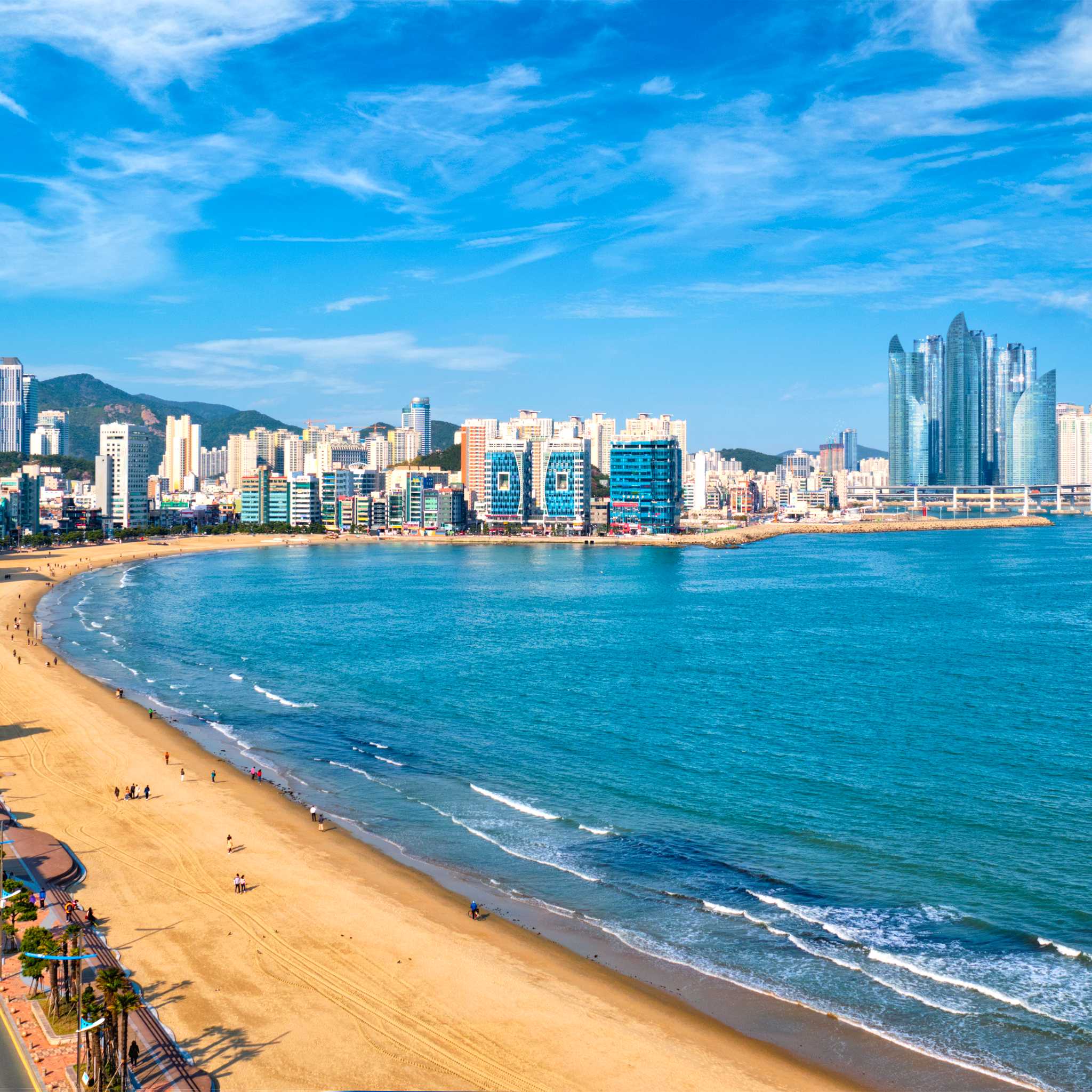 Private car transfers in South Korea from Busan