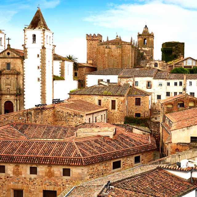 Seville to Caceres: Private day trip