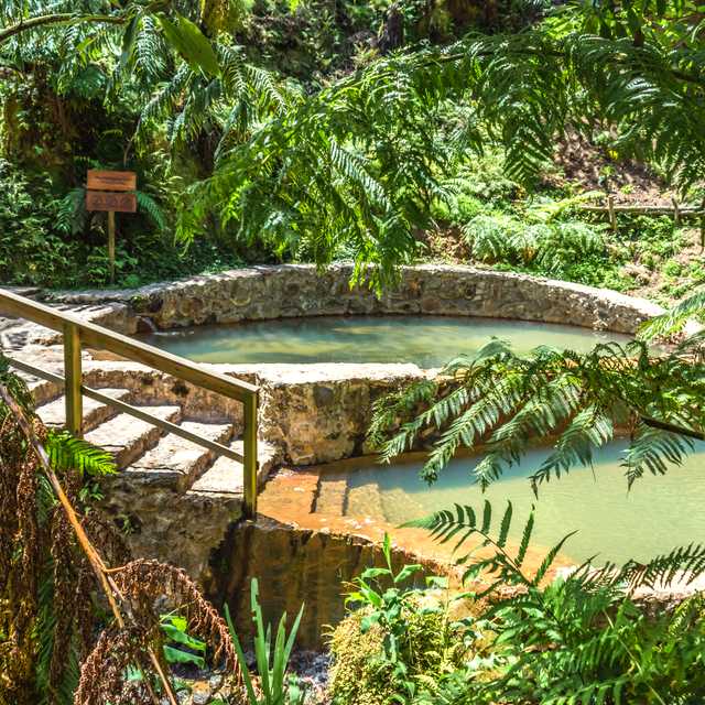 Ponta Delgada to Sao Miguel's Thermal Pools: Day trip