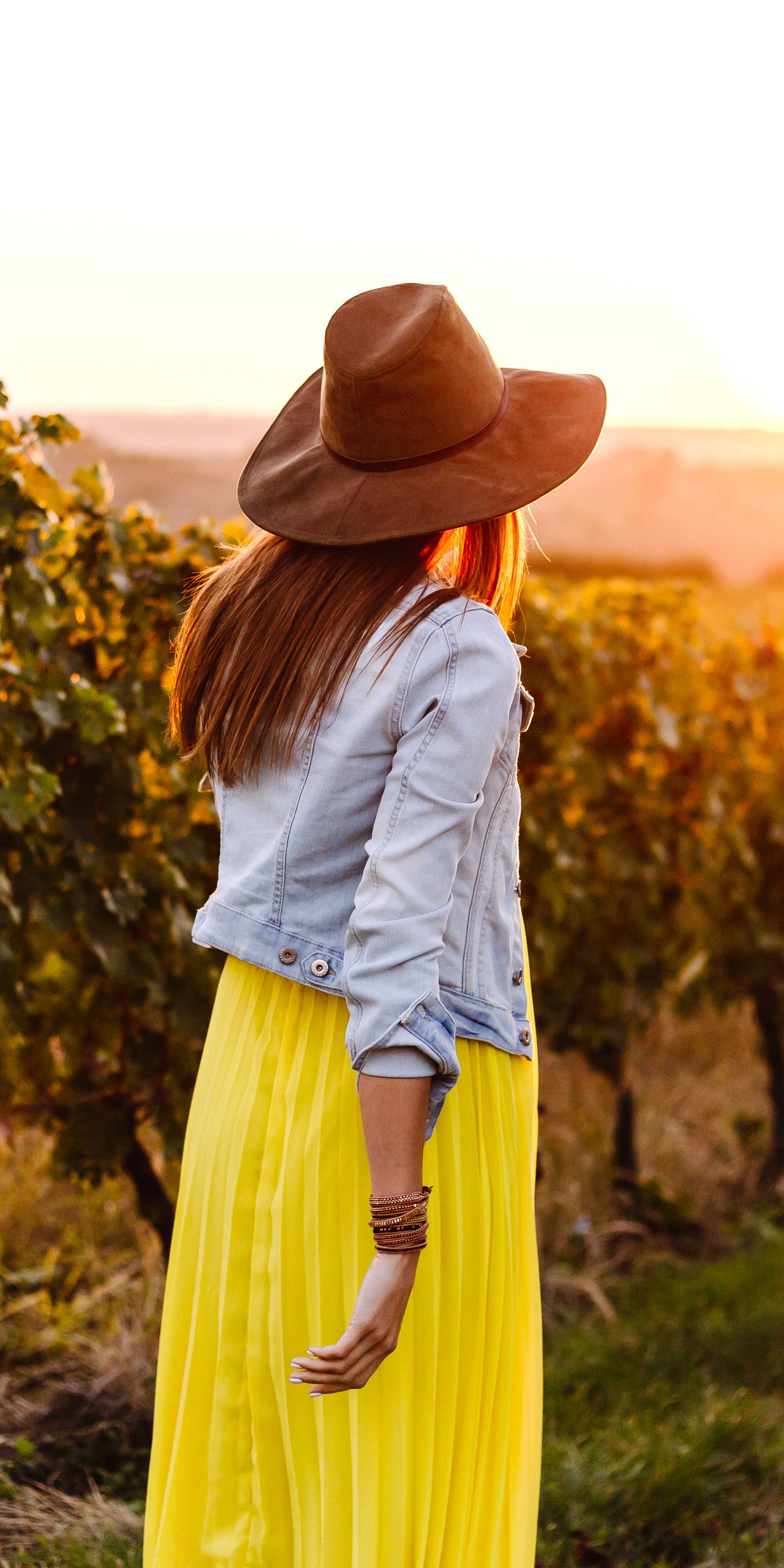 Campo Real Vinícola