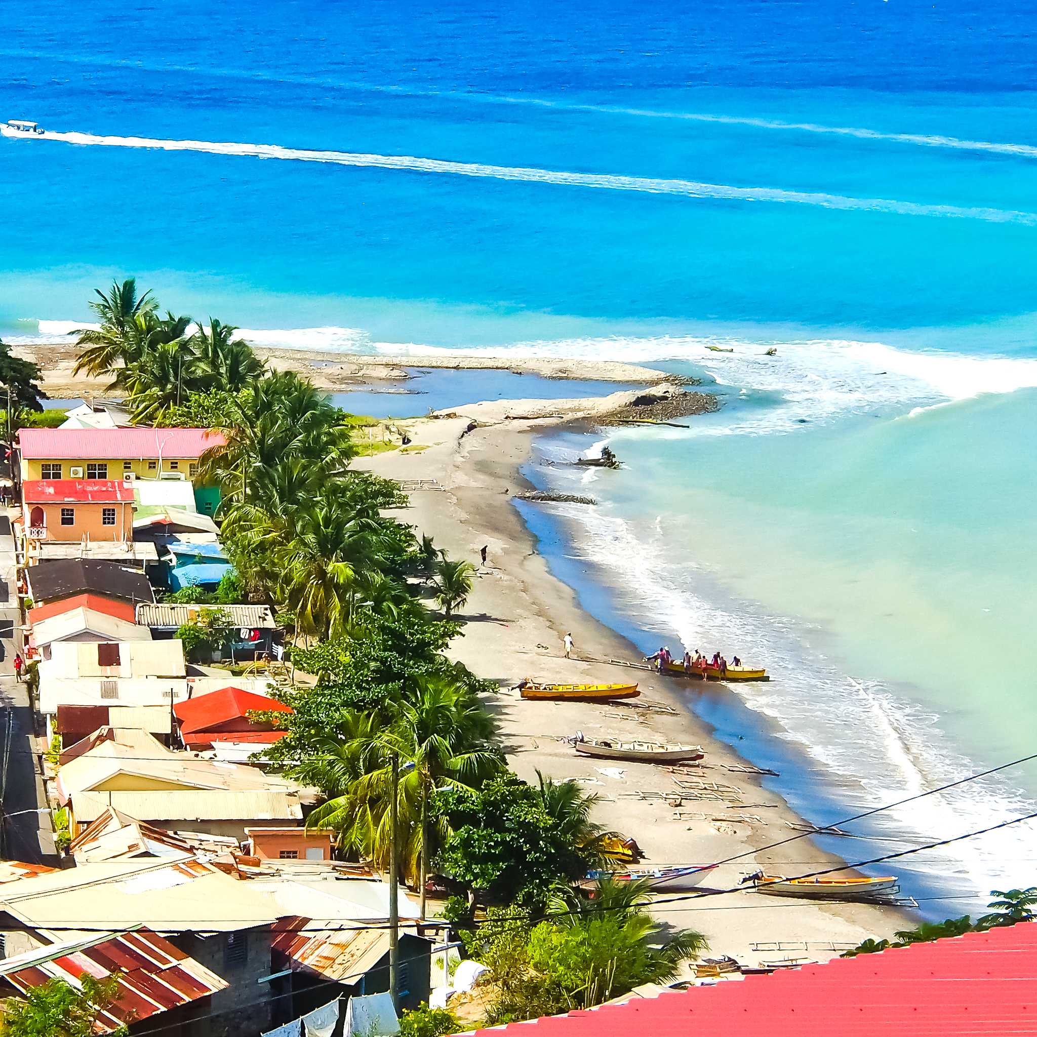 Canaries, St. Lucia
