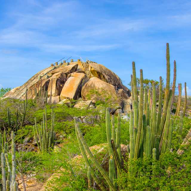 Oranjestad to Casibari Boulders and Conchi Pool: Day trip