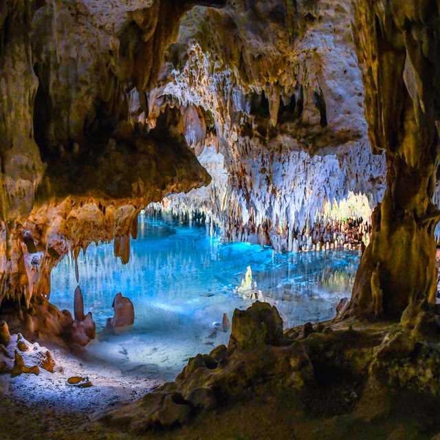 George Town to Crystal Caves and the Botanic Park: Day trip