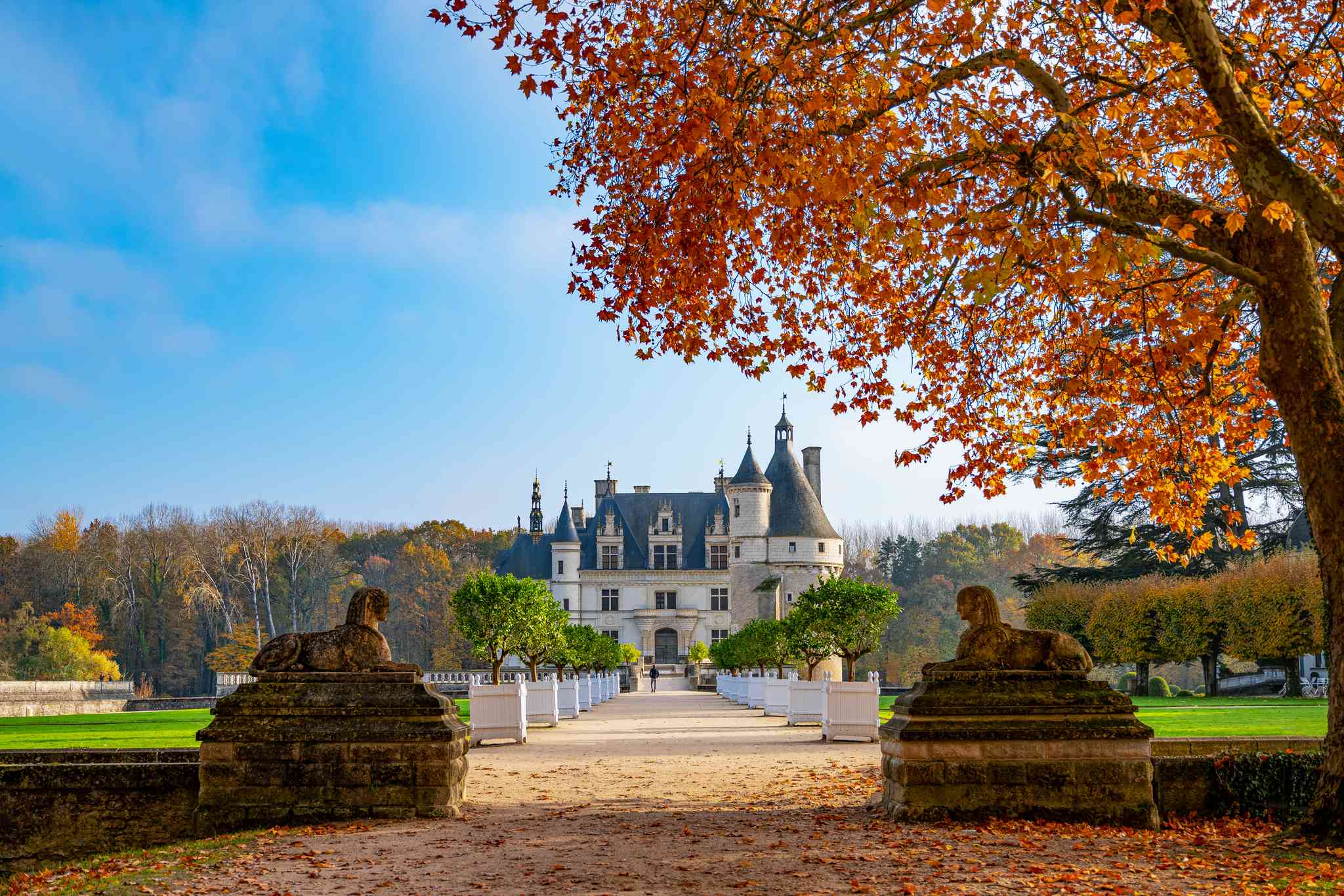 Vue pittoresque de Chambord - excursion privée d'une journée depuis Reims - photo 3
