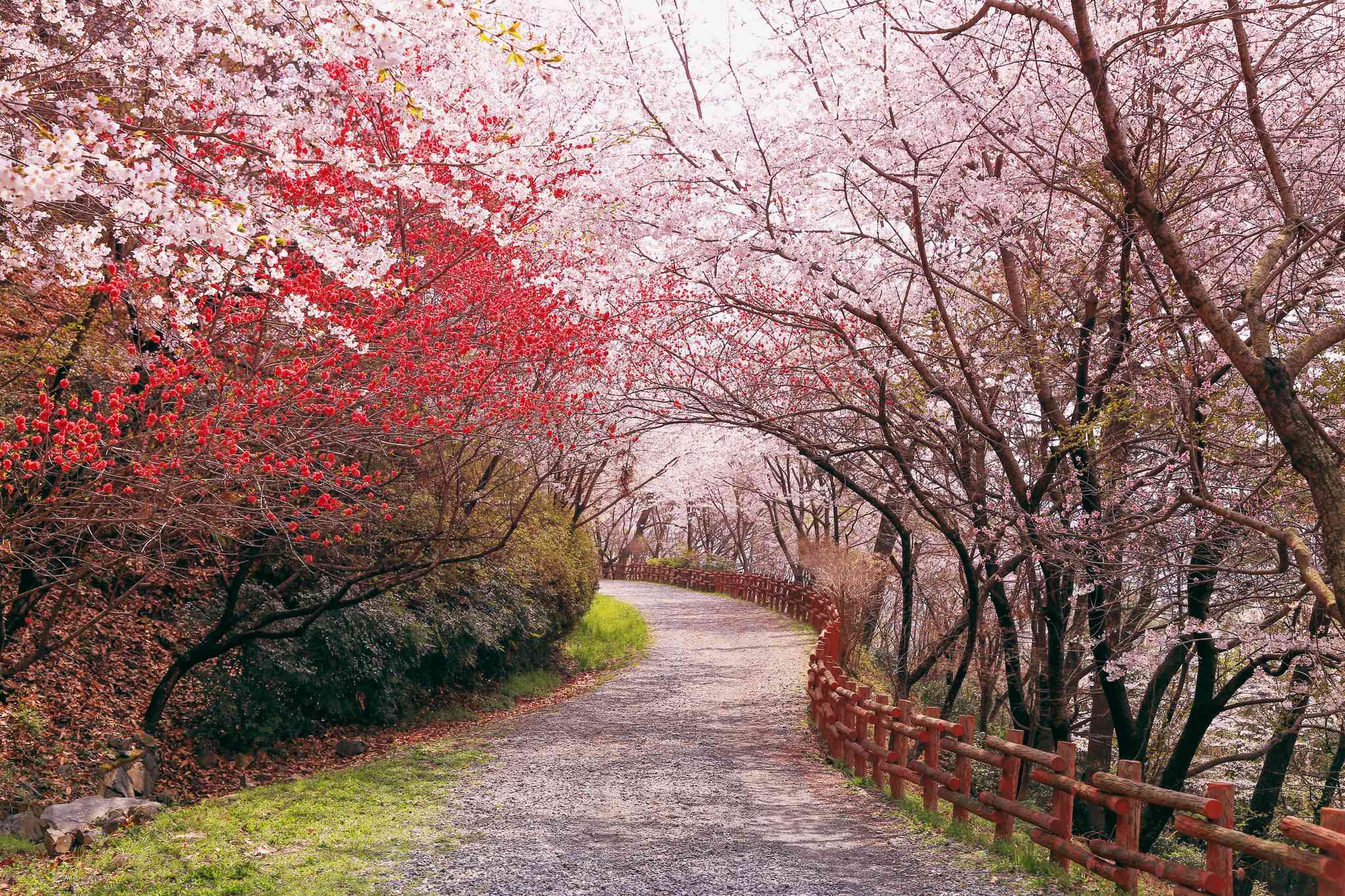 Scenic view of Incheon - private day trip from Jinhae-gu - photo 6