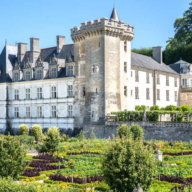 Conflans-Sainte-Honorine to Loire Valley Chateaus: Day trip