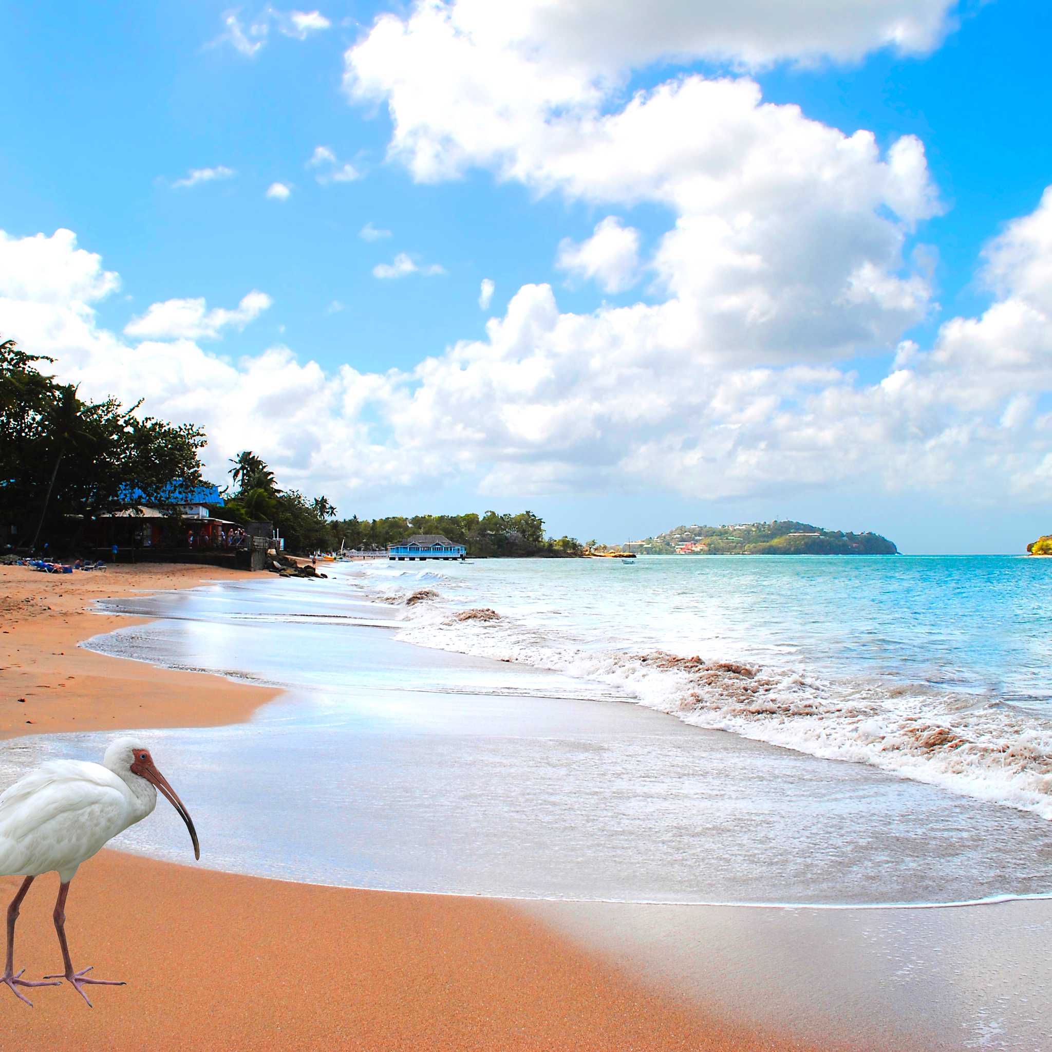 Private car transfers in Saint Lucia from Choc, St. Lucia