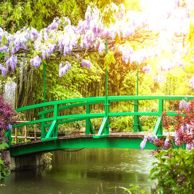 Paris to Claude Monet's Gardens at Giverny: Private day trip