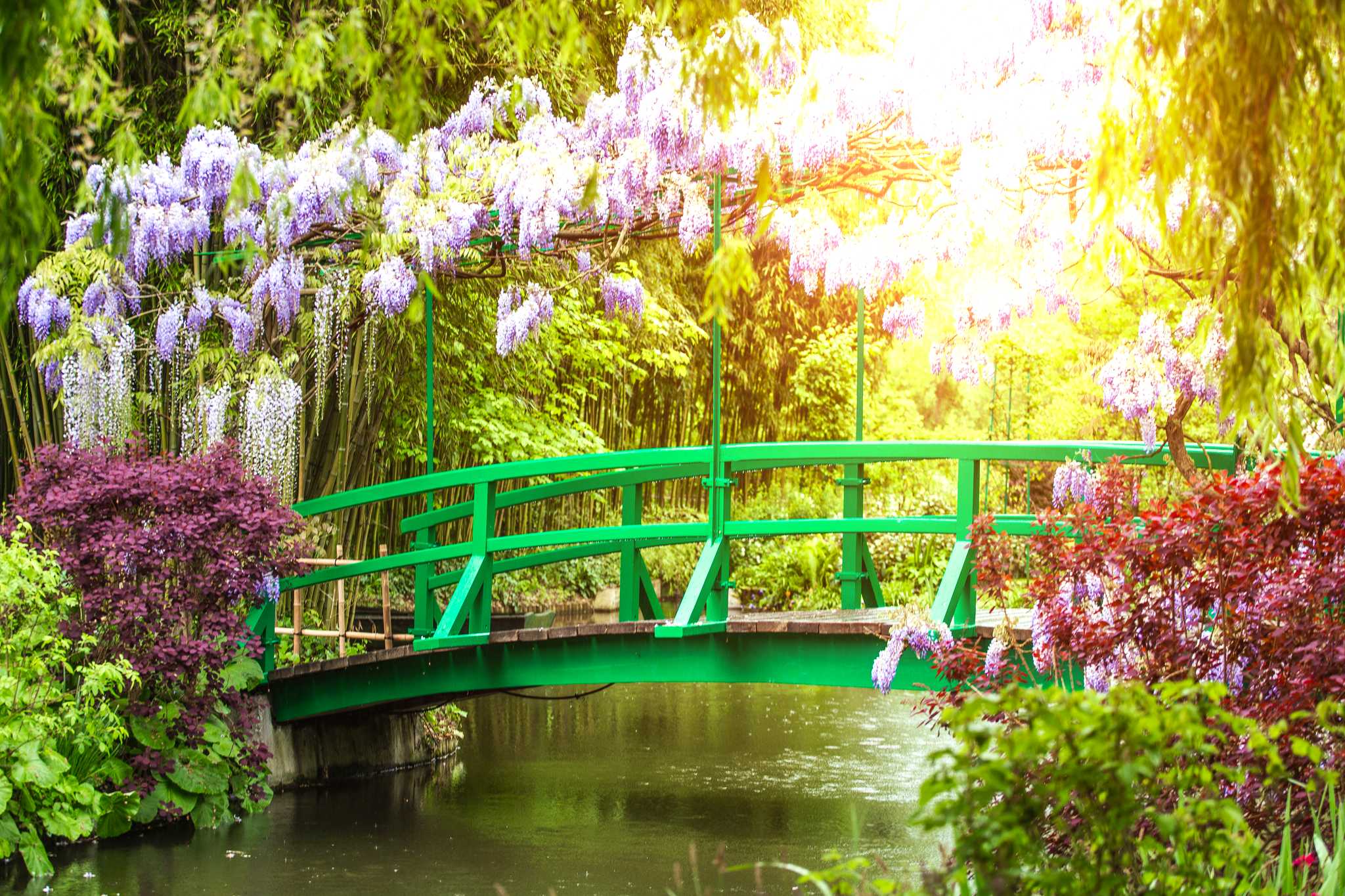 Private day trip option from Paris