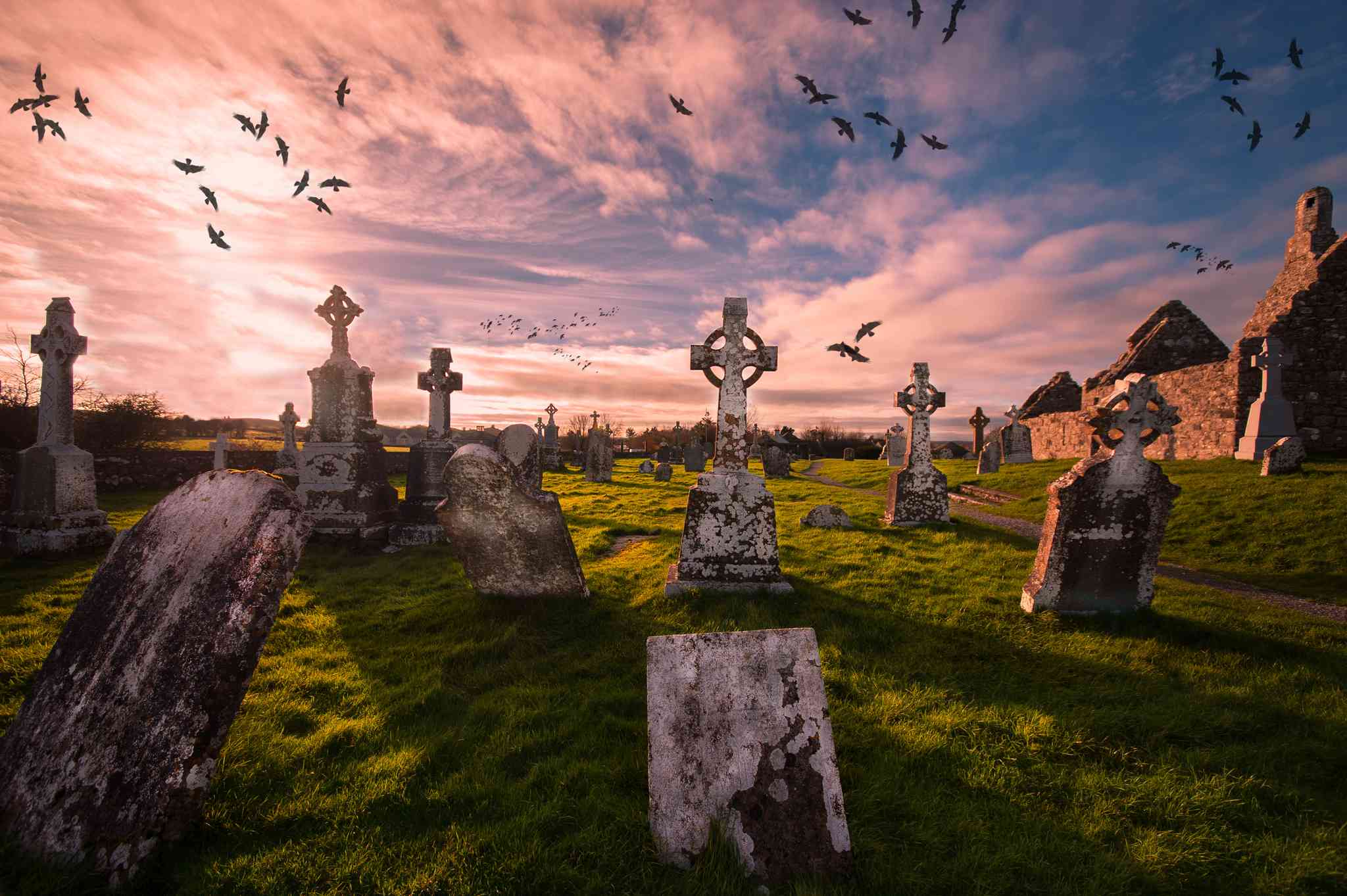 Blick auf die Landschaft von Dublin - private Tagesreise von Clonmacnoise - Foto 9
