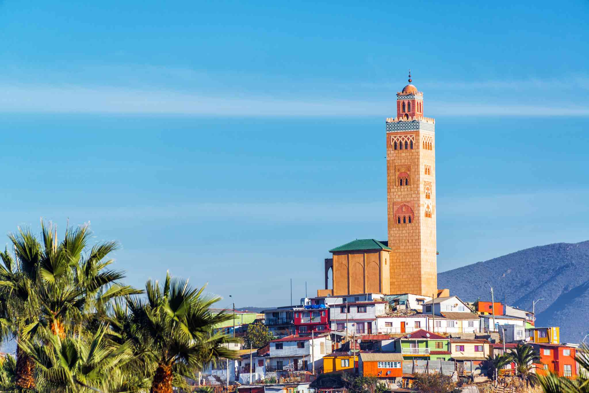 Blick auf die Landschaft von La Serena - private Tagesreise von Coquimbo - Foto 6