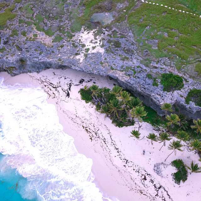 Bridgetown to Crane Beach and the Washington House: Day trip